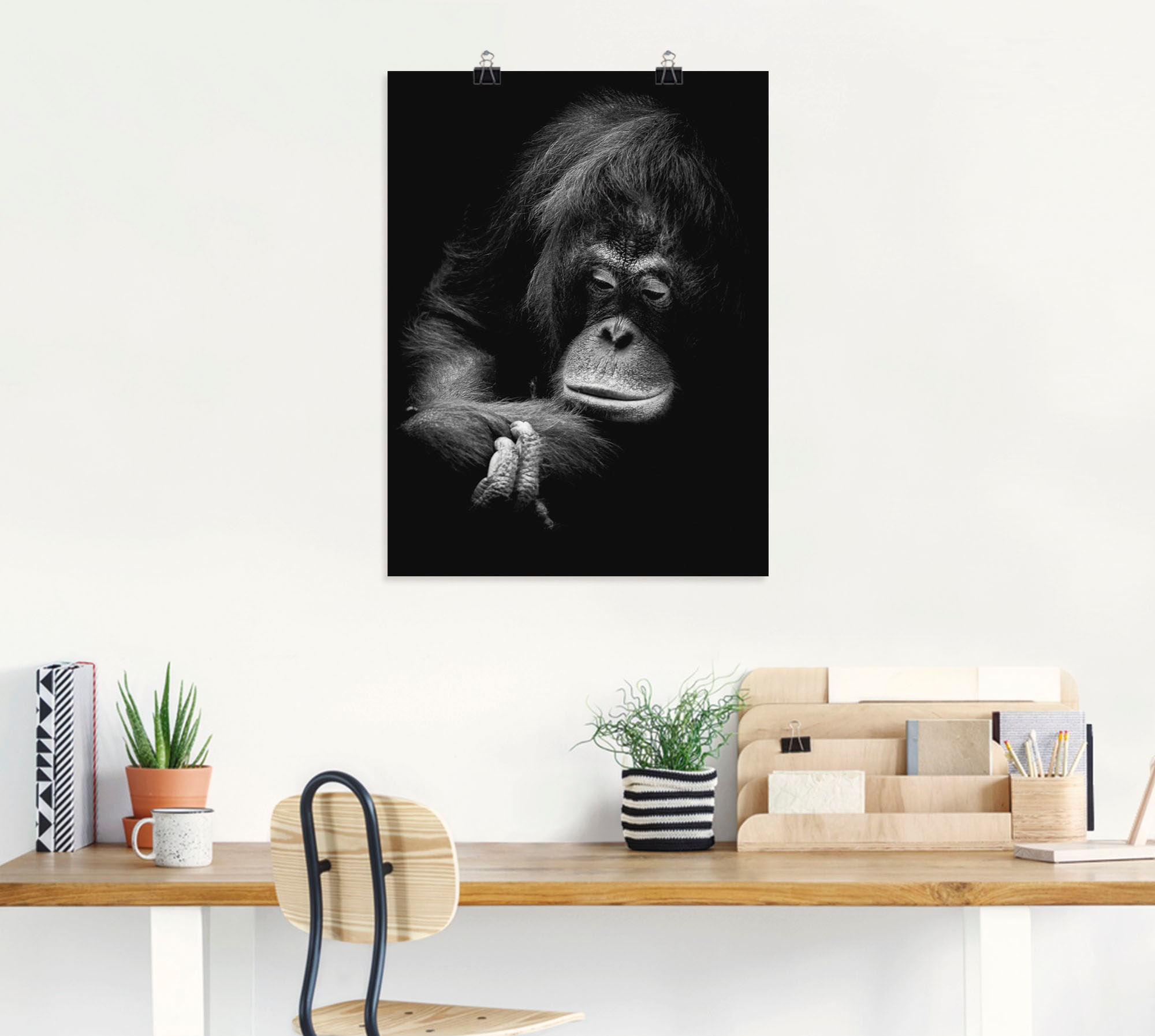 Artland Poster »Der nachdenkliche Orang Utan«, Affenbilder, (1 St.), als Alubild, Leinwandbild, Wandaufkleber oder Poster in versch. Grössen