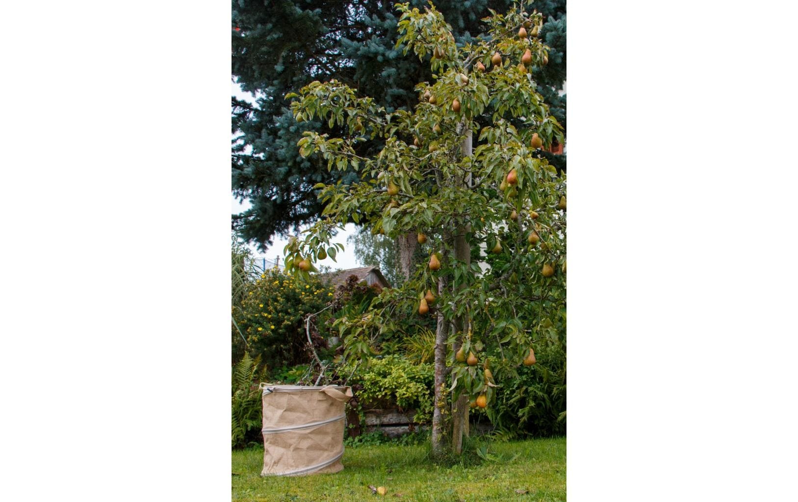 Gartensack »Colibri Pop-up Jute 172 l, D56xH70 cm«