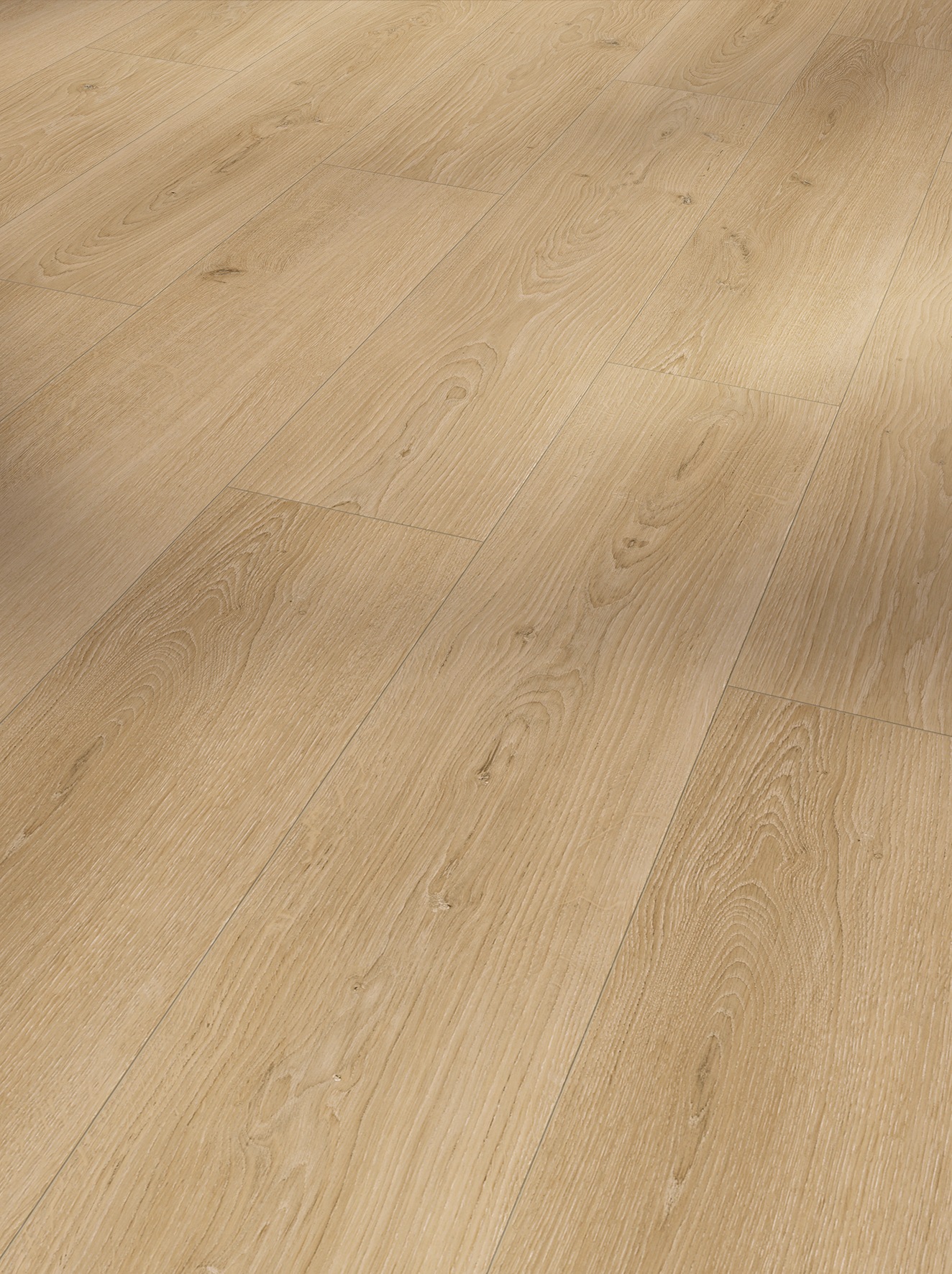 Image of PARADOR Laminat »Hydron 600 EI Studioline Natur«, (Set), Naturmatttsruktur, Verlegefläche: 1,87 m², matt, für Fussbodenheizung geeignet bei Ackermann Versand Schweiz