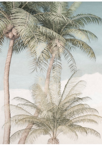 Vliestapete »Palm Oasis«