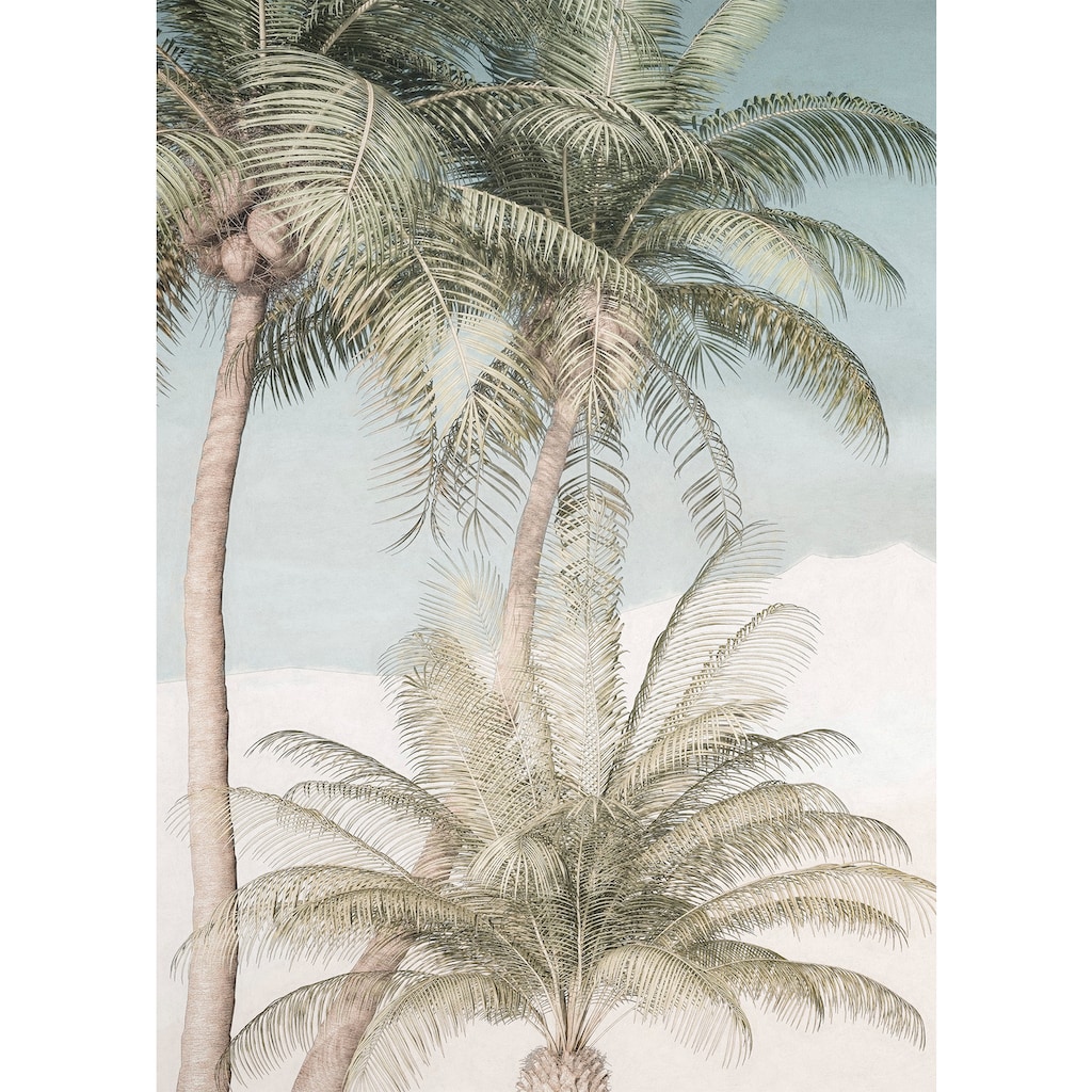 Komar Vliestapete »Palm Oasis«