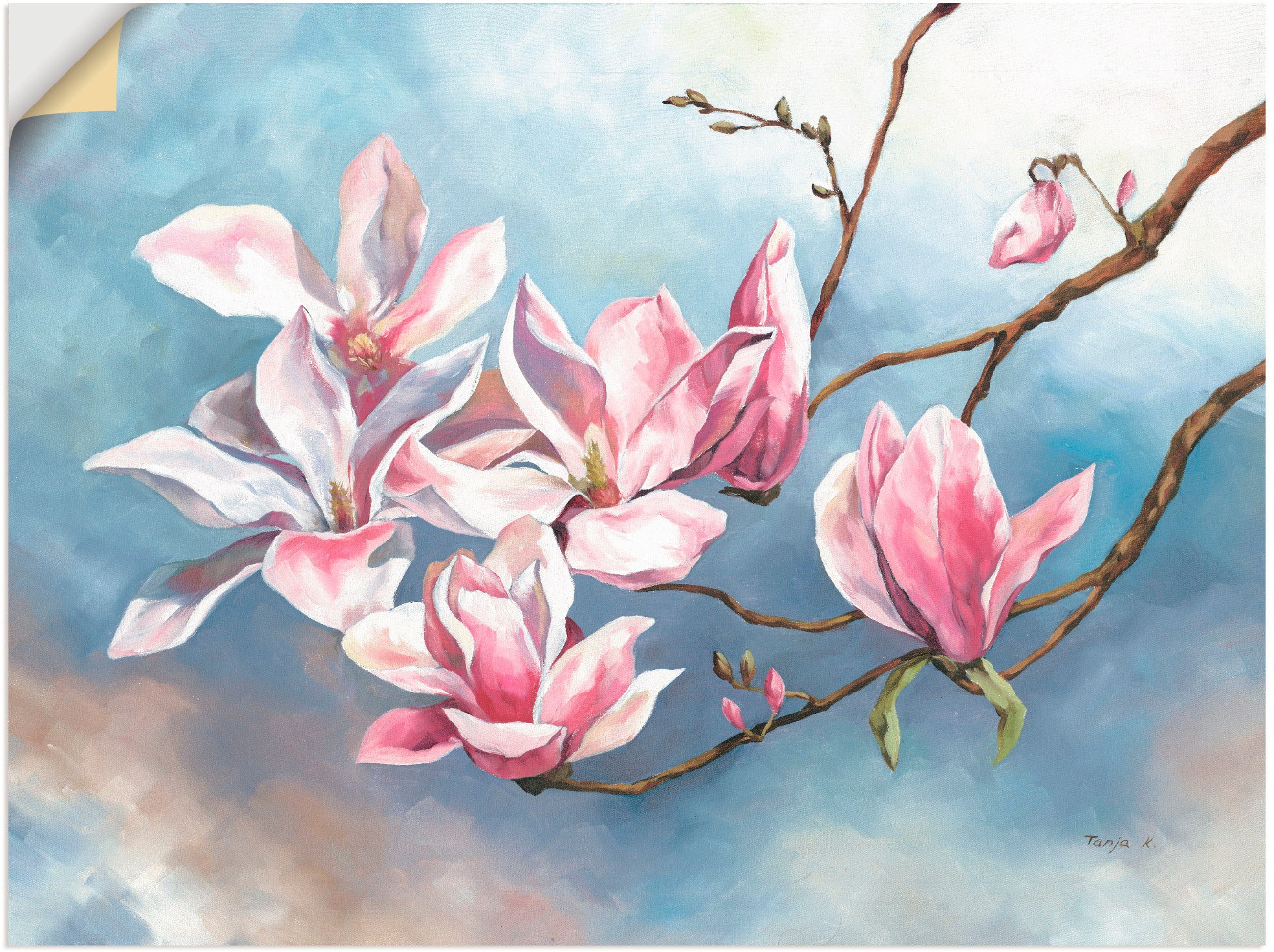 Image of Artland Wandbild »Magnolienzweig«, Blumen, (1 St.), in vielen Grössen & Produktarten - Alubild / Outdoorbild für den Aussenbereich, Leinwandbild, Poster, Wandaufkleber / Wandtattoo auch für Badezimmer geeignet bei Ackermann Versand Schweiz