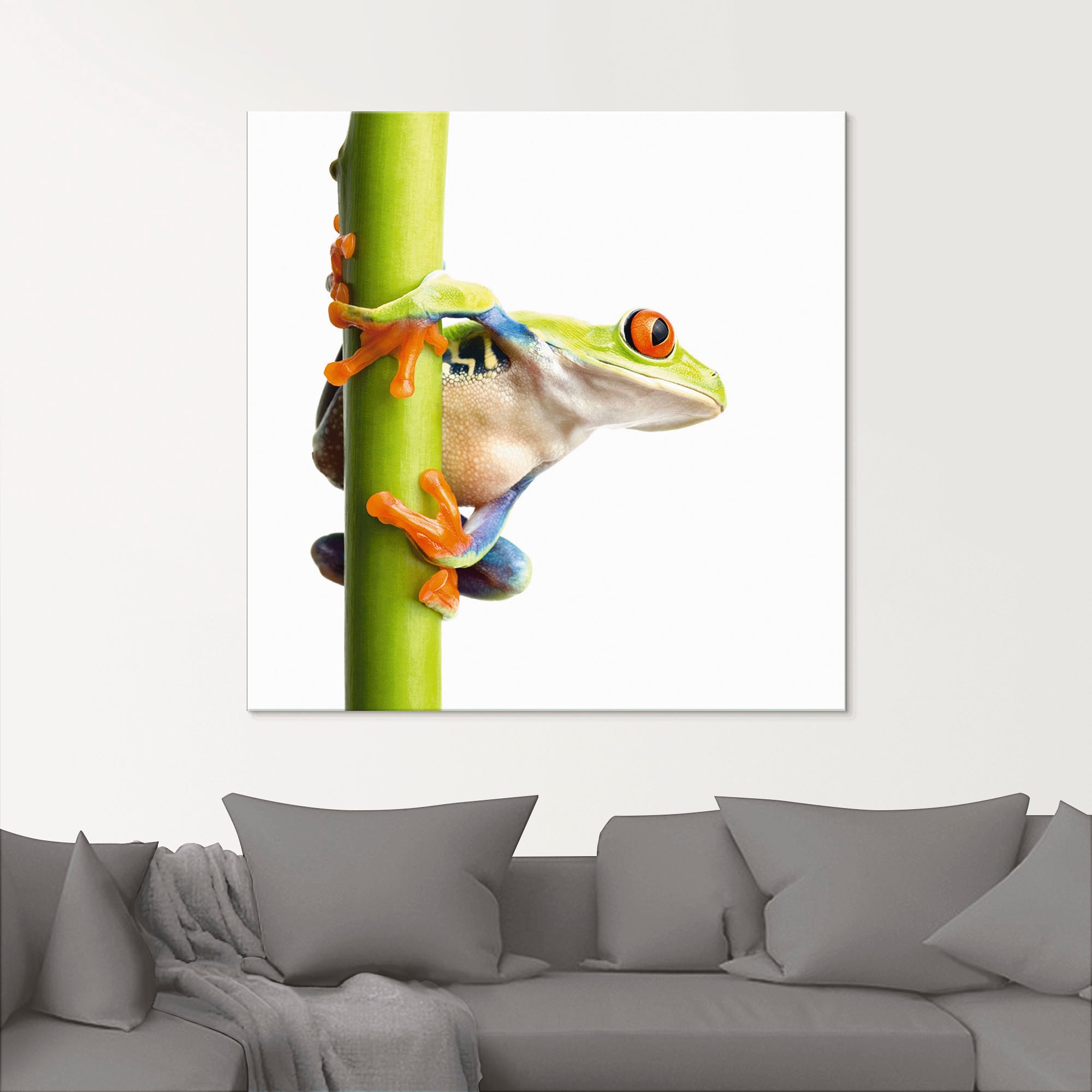 Image of Artland Glasbild "Frosch umfasst einen Pflanzenstengel" Wassertiere 1 Stk. tlg. in verschiedenen Grössen