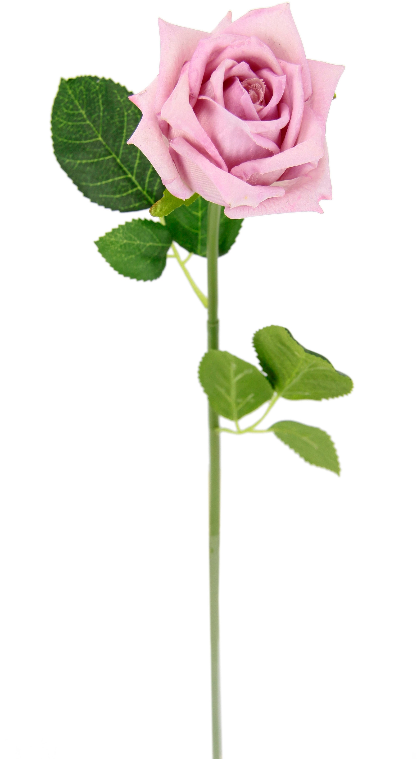günstig kaufen Bouquet, I.GE.A. Rosen, 5er Kunstzweig, »Rose«, künstliche Kunstrose Seidenrosen, Set Kunstblume