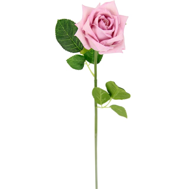 I.GE.A. Kunstblume »Rose«, 5er Set künstliche Rosen, Seidenrosen, Bouquet,  Kunstzweig, Kunstrose günstig kaufen