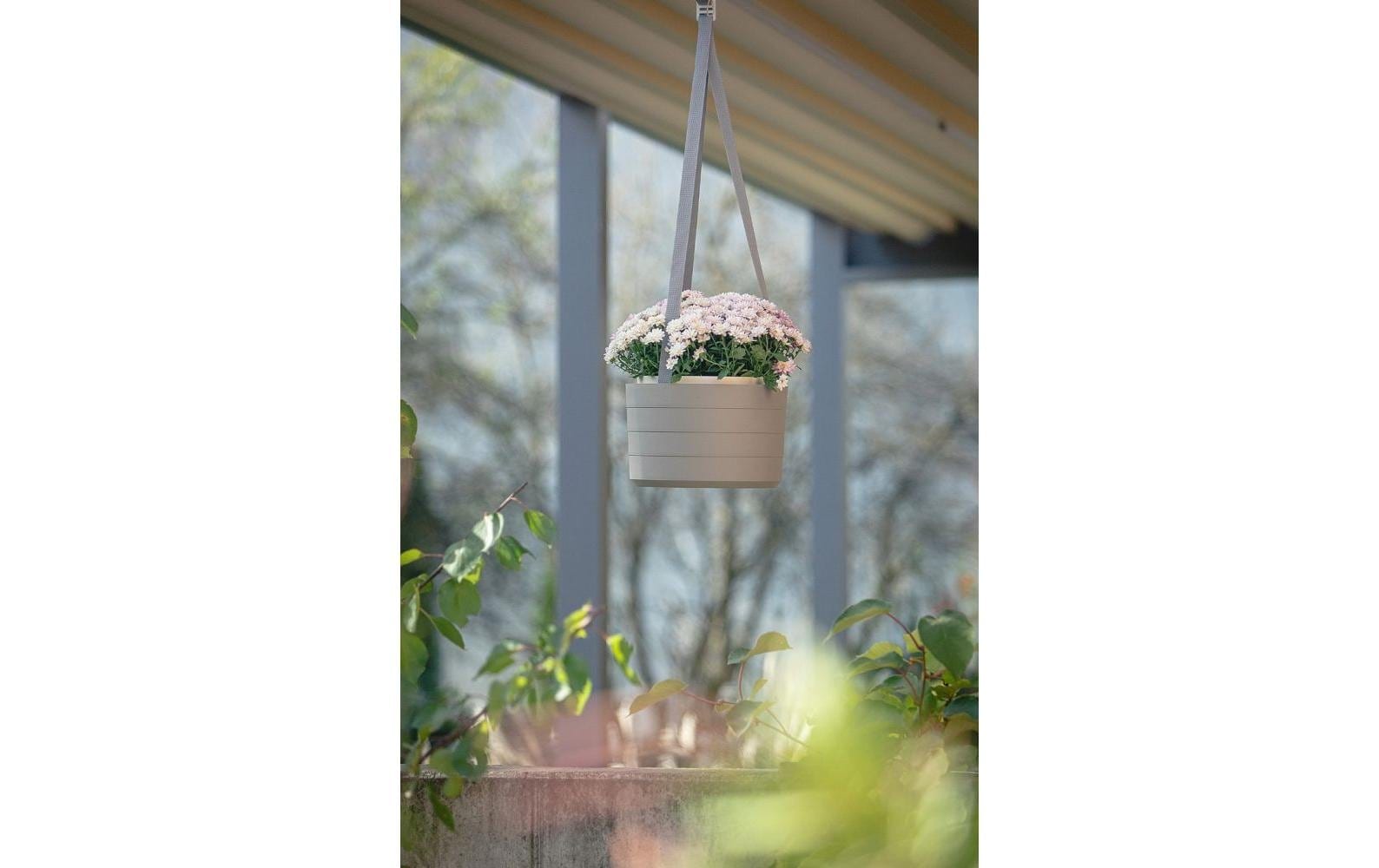   Blumenampel »Plastia Berberis 26 cm drei Bänder«