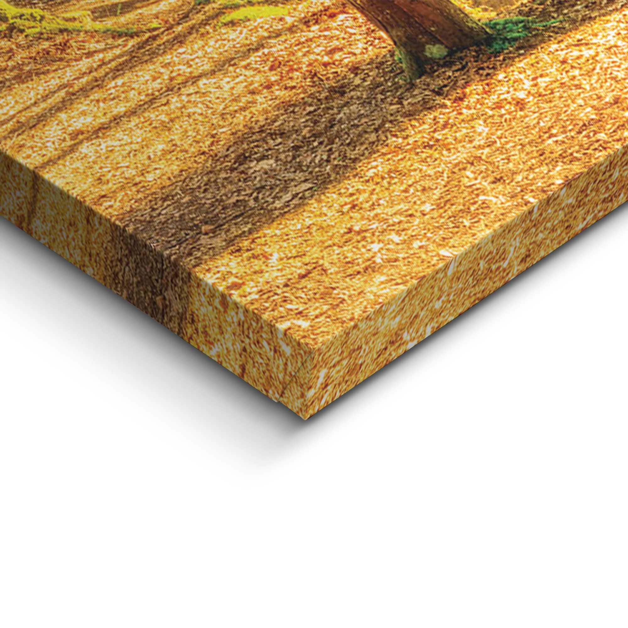 Reinders! Deco-Panel »Sonnenschein im Wald«, Hobbyraum - Grün - MDF - Wald - 118x70 cm