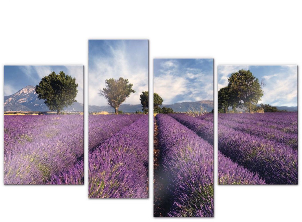 Image of Wall-Art Mehrteilige Bilder »Lavendel Blumenfeld (4-teilig)«, (Set, 4 St.) bei Ackermann Versand Schweiz