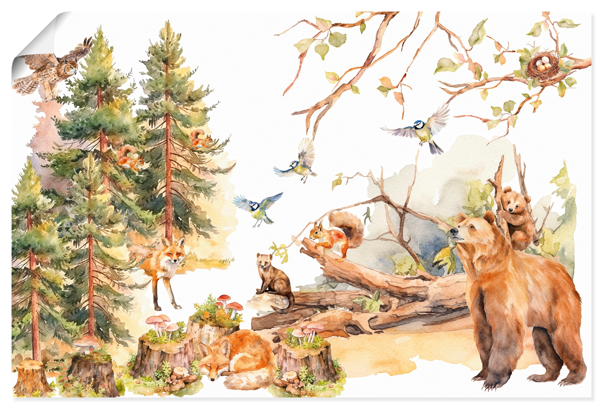 Artland Wandbild "Die Tiere des Waldes" 1 Stk. tlg. als Alubild, Leinwandbild, Poster, Wandaufkleber in verschied. Grössen