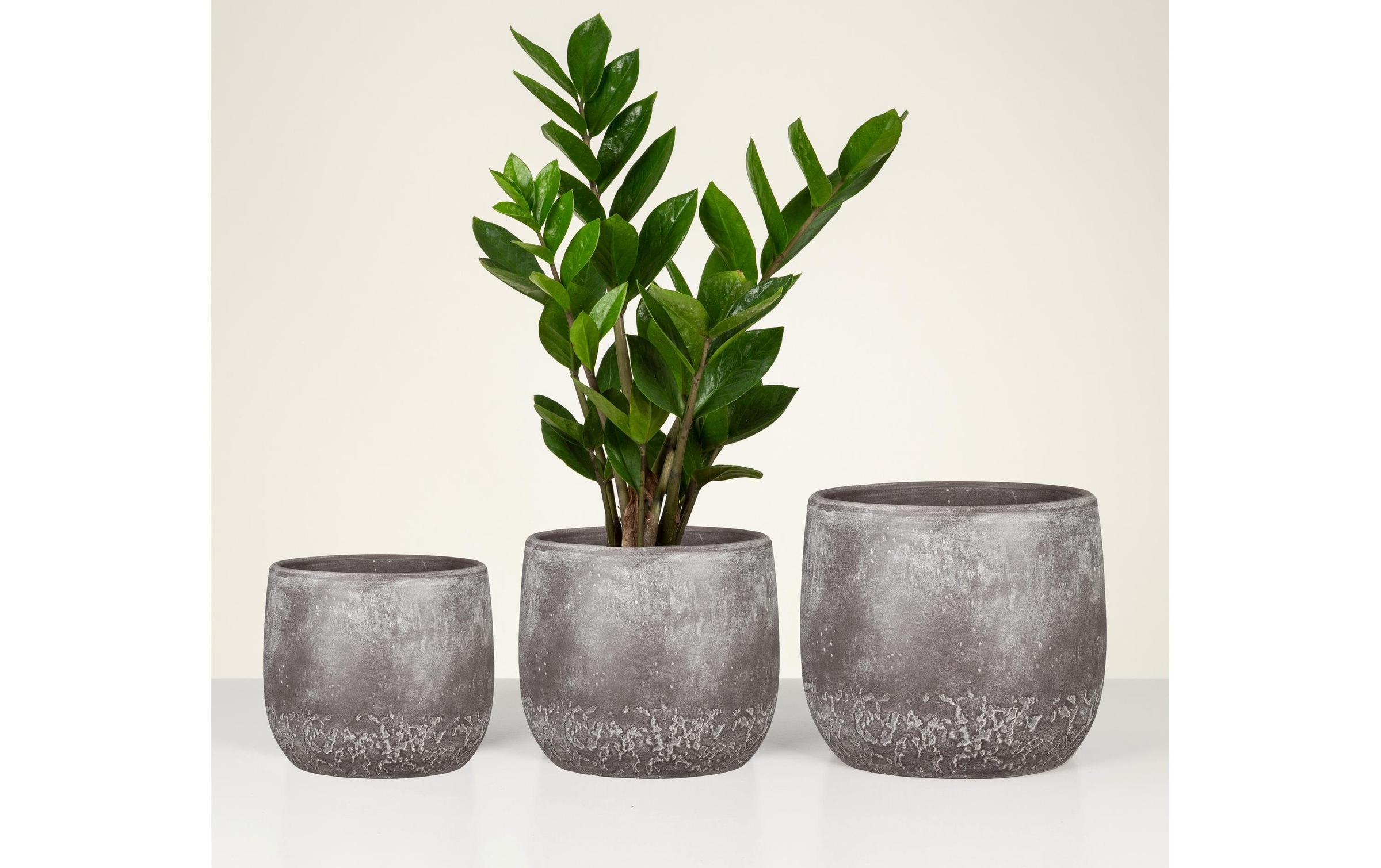 Scheurich Blumentopf »Dune 6,1 l«
