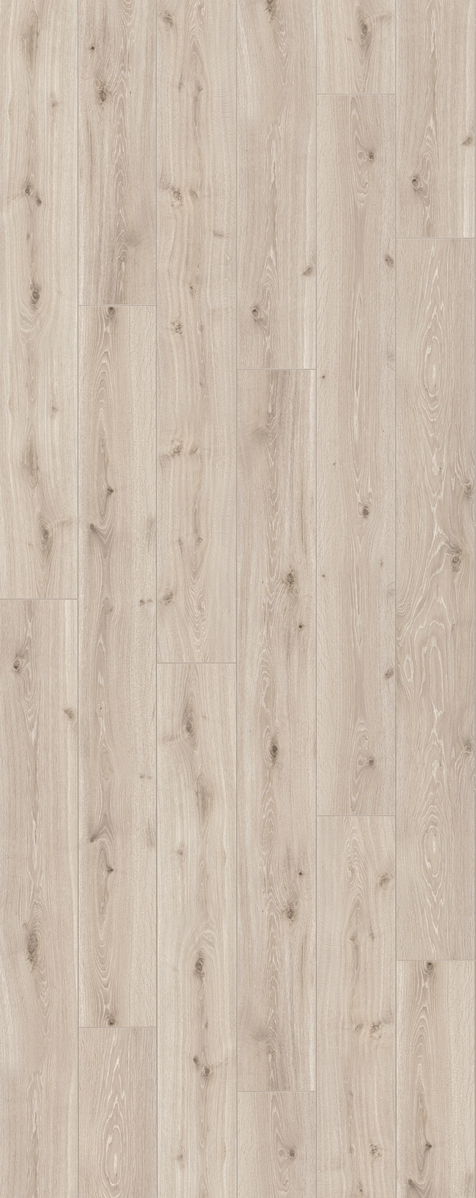Image of PARADOR Laminat »Trendtime 6 - Eiche Castell weiss«, (Packung), spezielle Trägerplatte, 2200 x 243 mm, Stärke: 9 mm bei Ackermann Versand Schweiz
