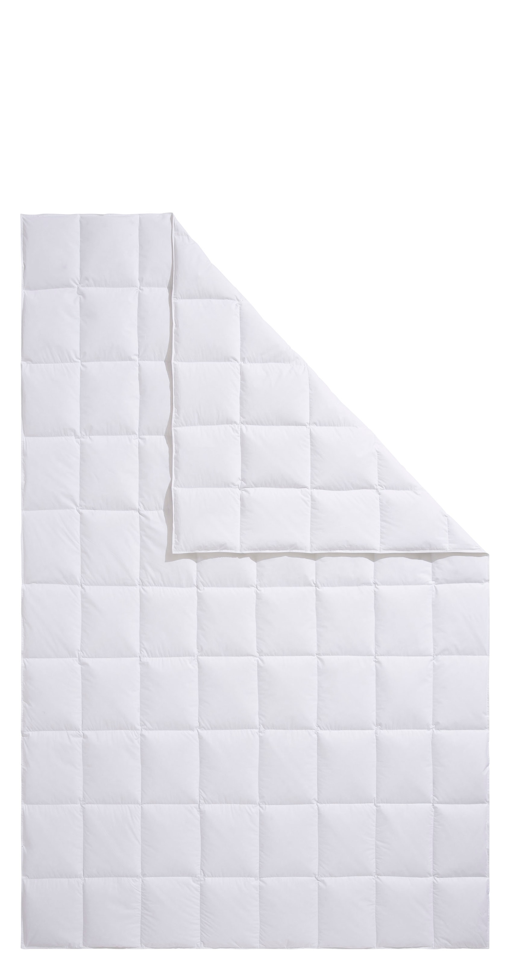 Älgdröm Couette en duvet »Lasse, Bettdecke 135x200 cm, 155x220 cm und weitere Grössen« extraleicht Füllung 100Daunen 1 cuis tlg. Bettdecken, Sommer, Winter, Decke ist Made in Green zertifiziert