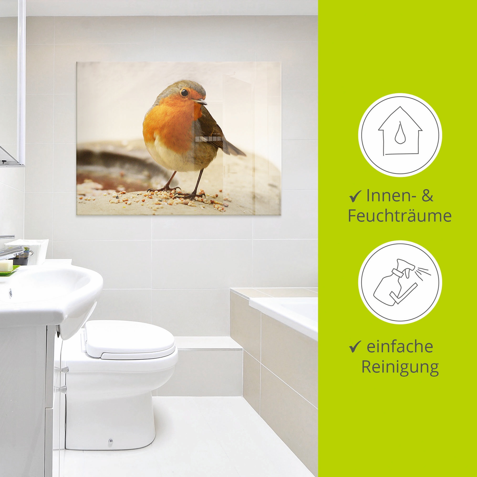 Artland Glasbild »Rotkehlchen«, Vögel, (1 St.), in verschiedenen Grössen