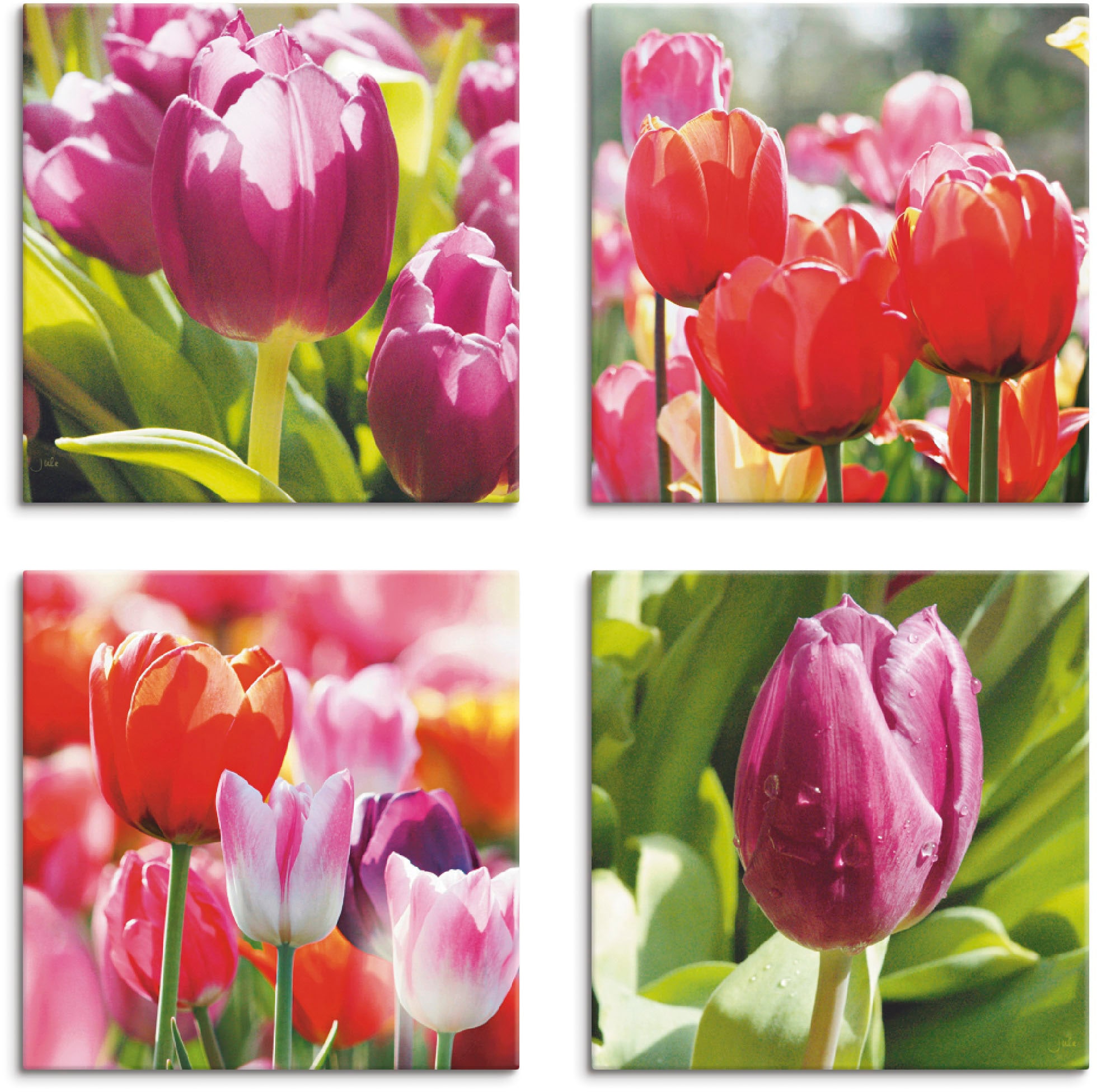 Image of Artland Leinwandbild "Frühling und Tulpen" Blumen 4 Stk. tlg. 4er Set, verschiedene Grössen
