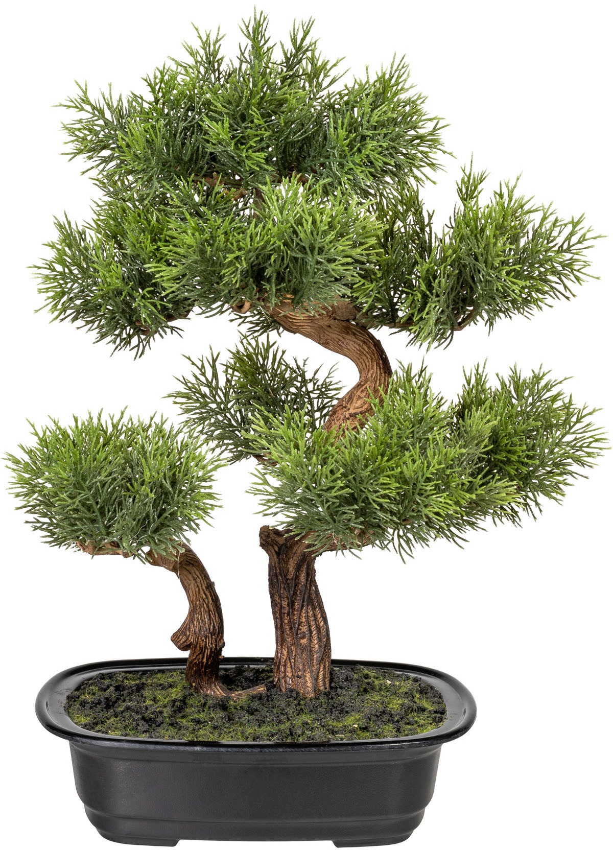 Image of DELAVITA Kunstbonsai »Editha«, (1 St.), Kunstpflanze, im Topf bei Ackermann Versand Schweiz