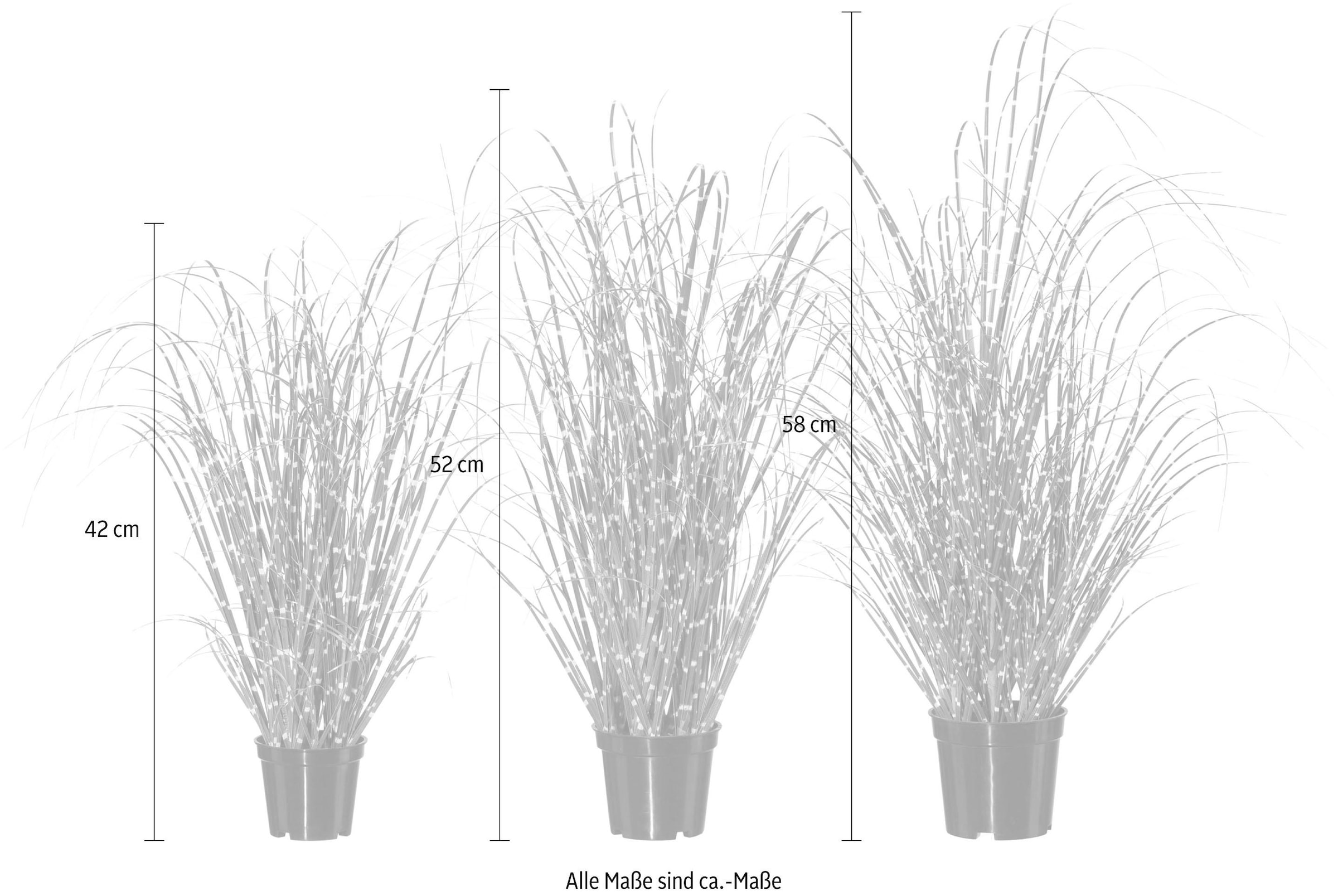 Creativ green Herbe artificielle »Miscanthus«
