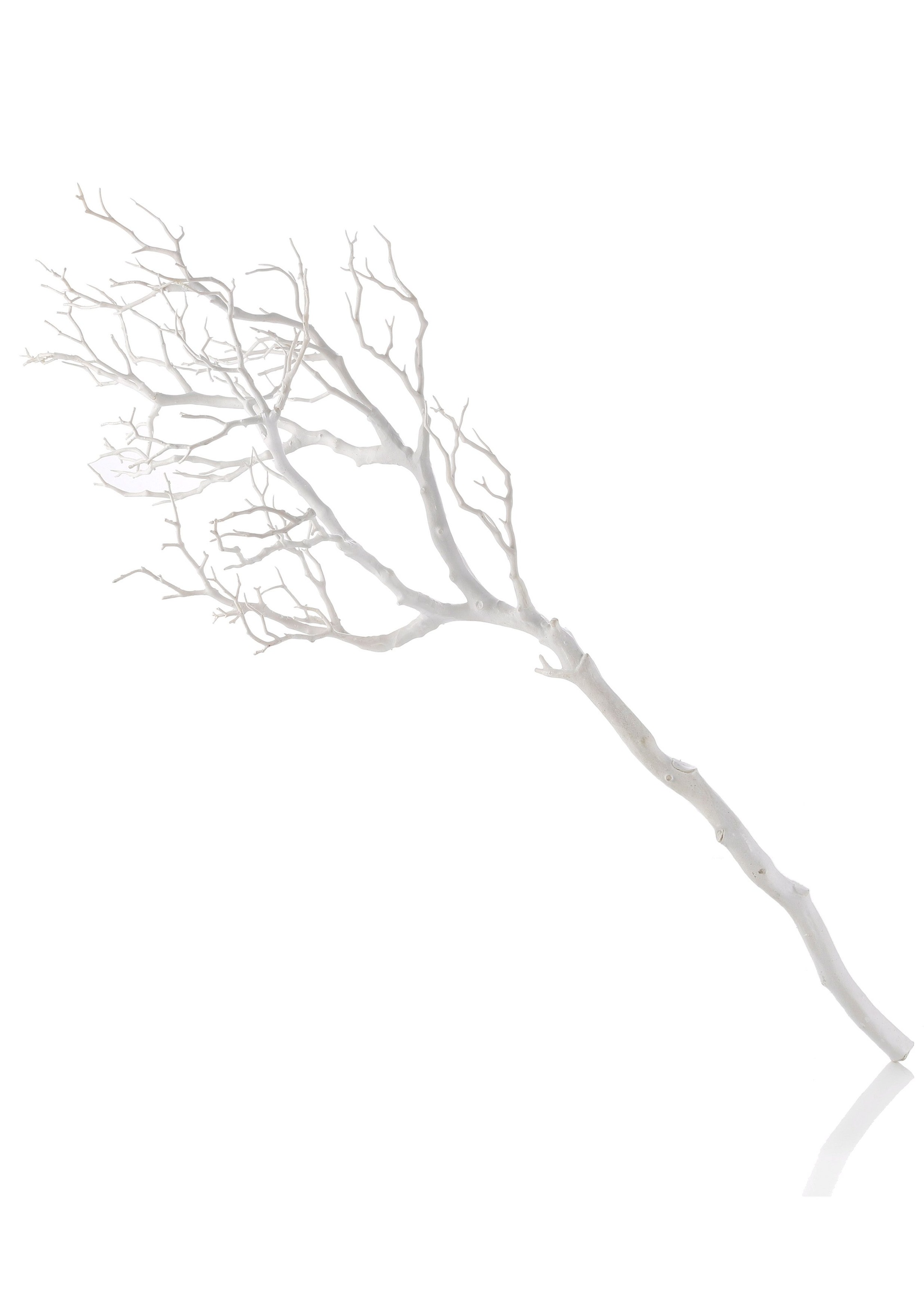 Image of my home Kunstzweig, Deko-Ast bei Ackermann Versand Schweiz