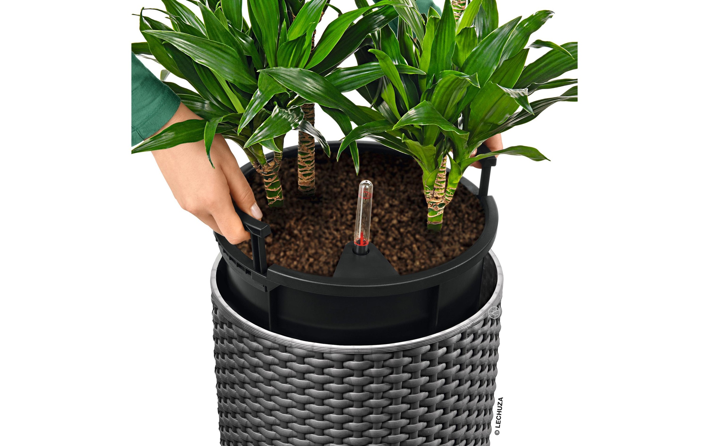 Image of Blumentopf "Lechuza CILINDRO cottage 32"