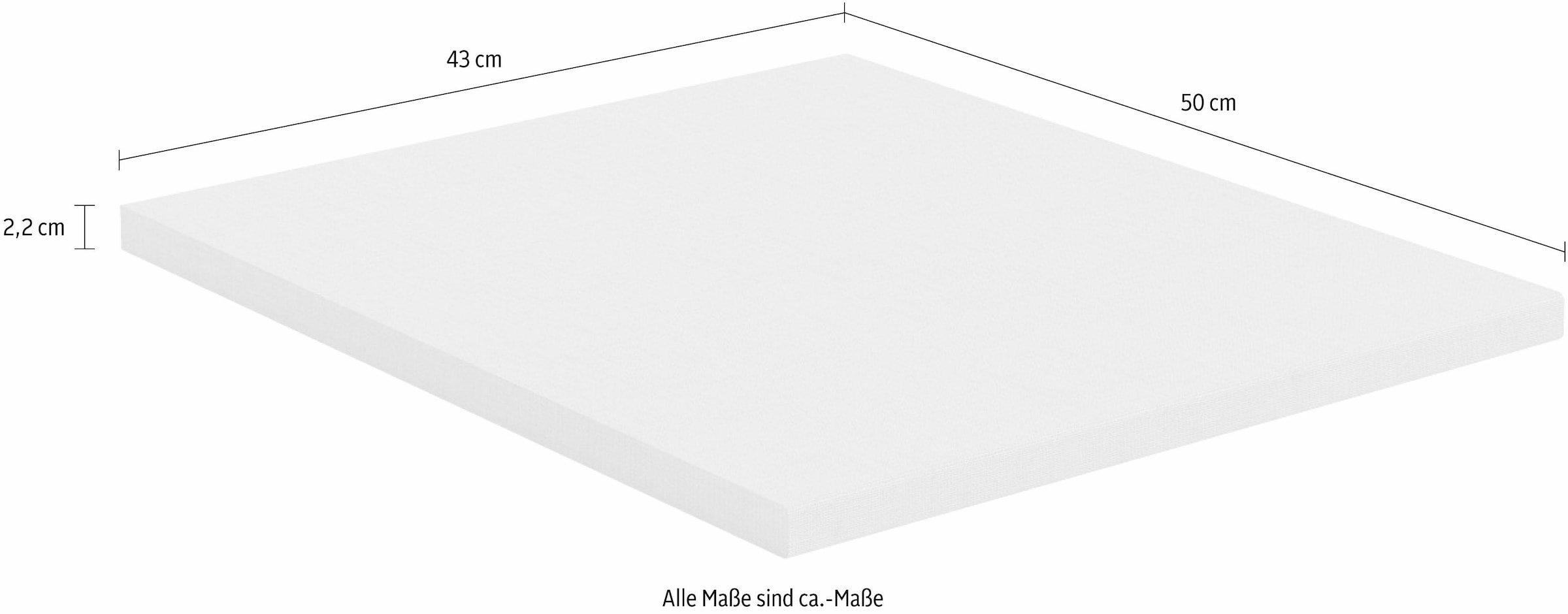 rauch Einlegeboden »Rauch Stauraum-Erweiterung für Drehtürenschränke« Mehr Platz im Kleiderschrank: 43 cm Einlegeboden von Rauch