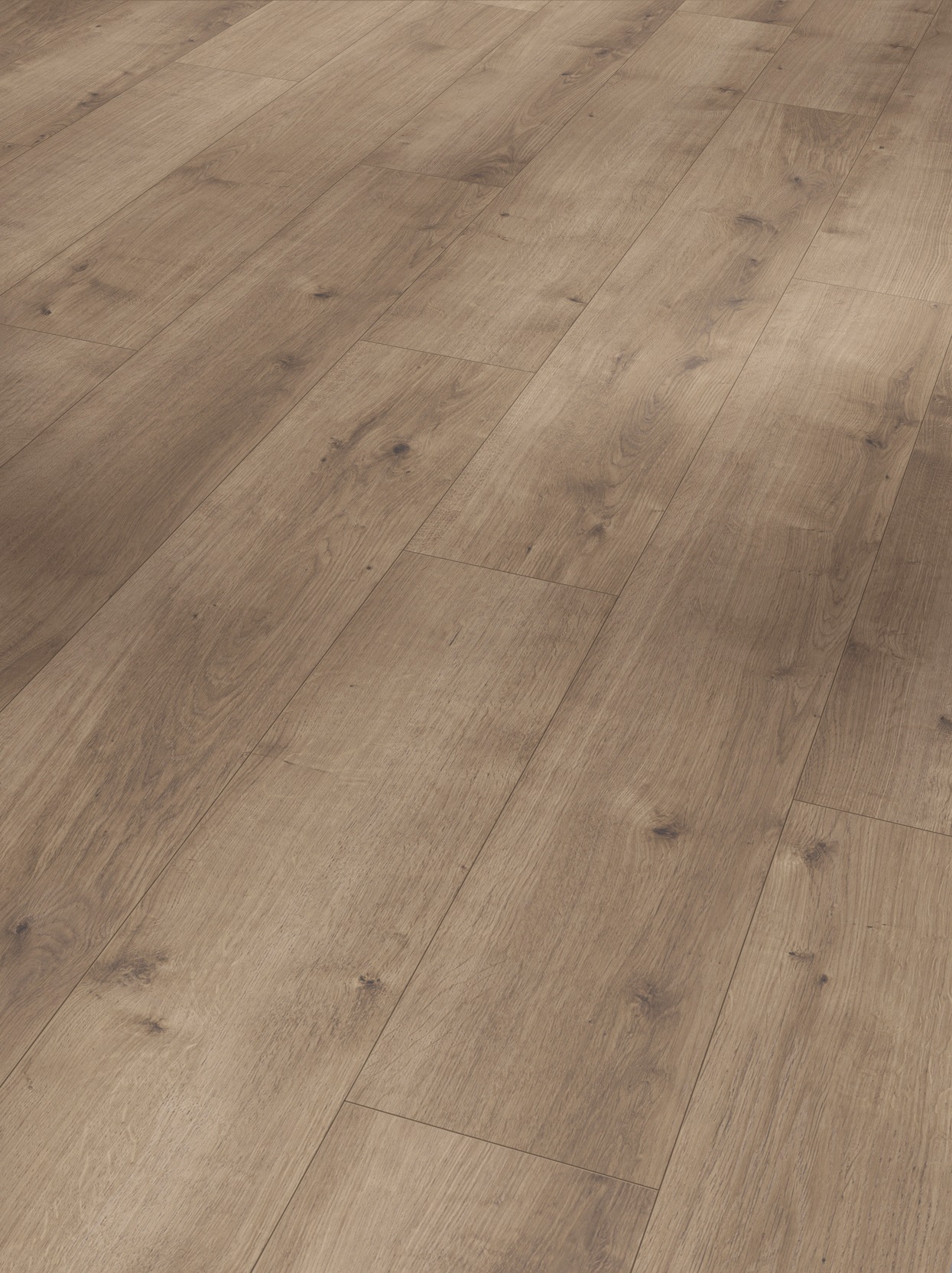 Image of PARADOR Designboden »Modular ONE«, (Packung), Eiche pure perlgrau, 194x1285x8 mm, 2,493 m² bei Ackermann Versand Schweiz