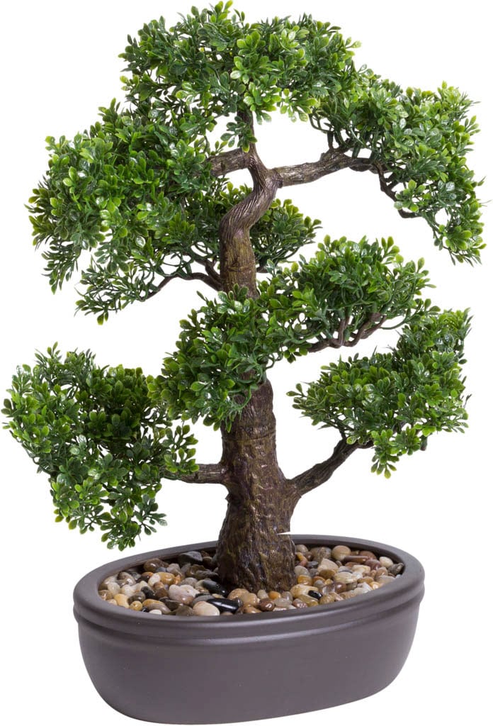 kaufen Botanic-Haus bequem Kunstbonsai Bonsai« »Ficus