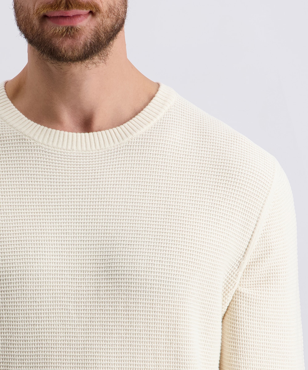 Pierre Cardin Rundhalspullover mit Struktur