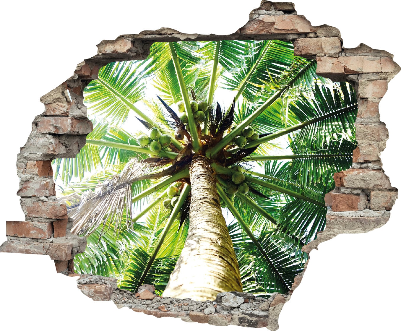 Image of queence Wandtattoo "Palme" Wandsticker, Wandbild, selbstklebend, 3D, Wanddurchbruch