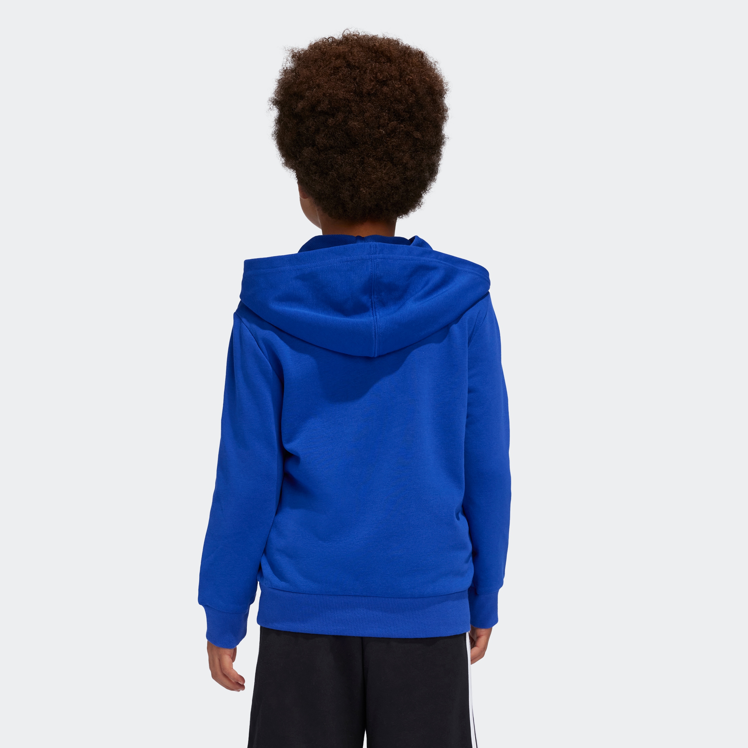 adidas Sportswear Kapuzensweatshirt »LK BL FT HD«