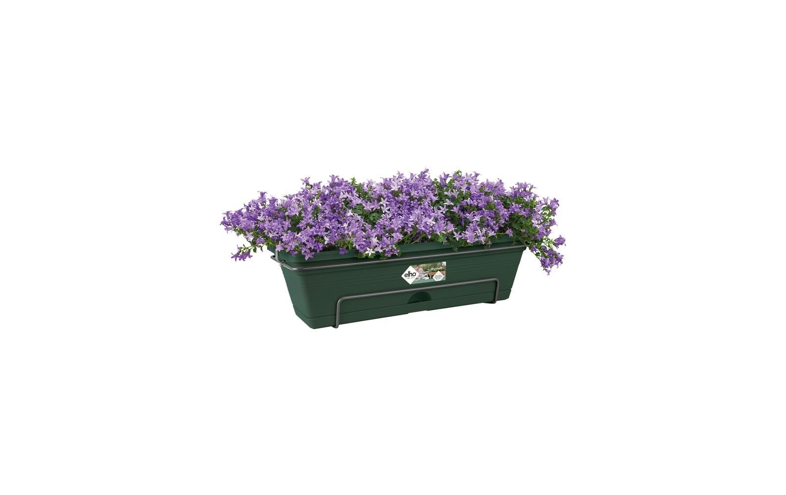 Elho Blumentopf "Green Basics Balkonkasten Allin1 70 cm"