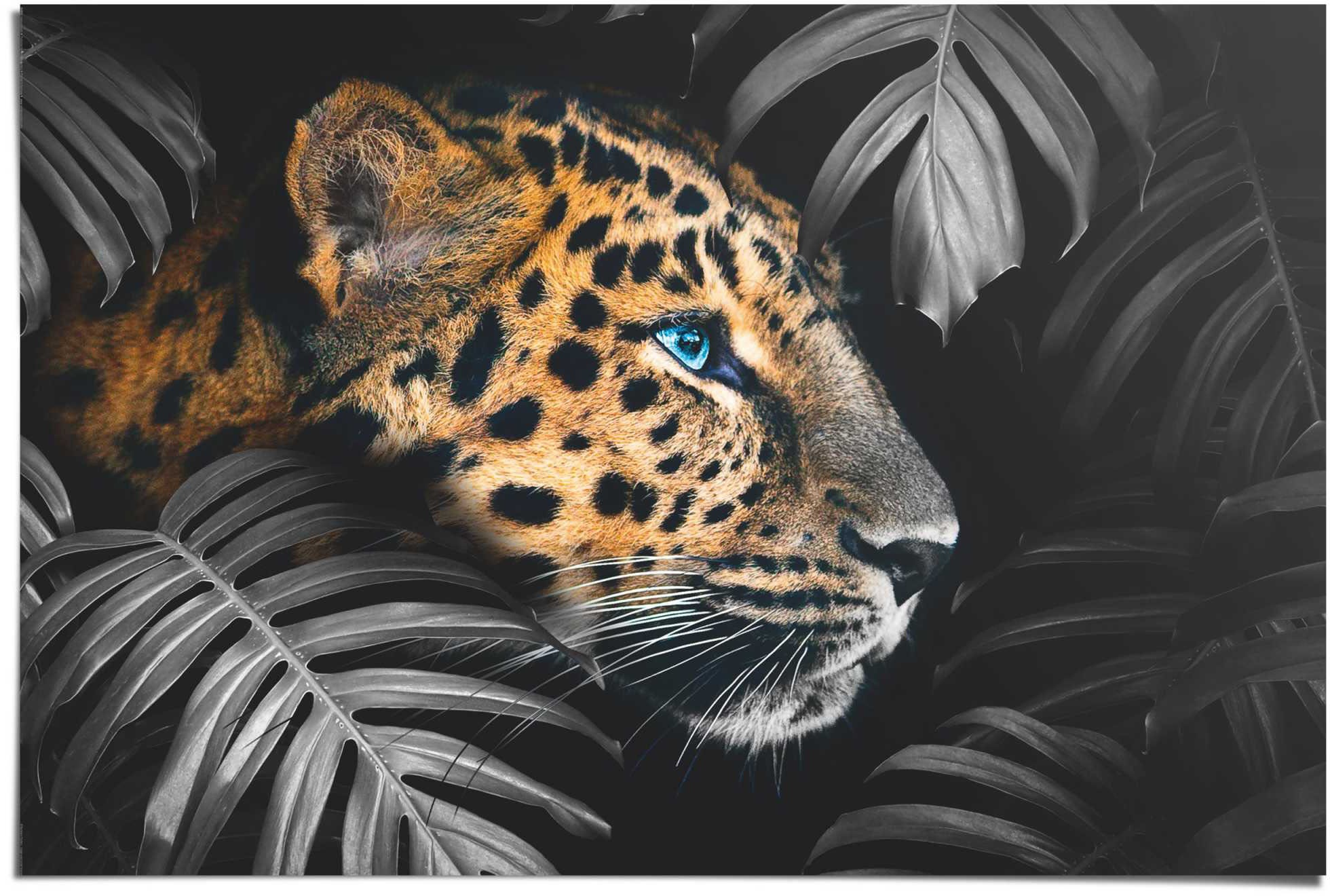 Image of Reinders Poster "Leopard Jungle - Eyecatcher - Tiermotiv - Modern" 1 Stk. tlg.