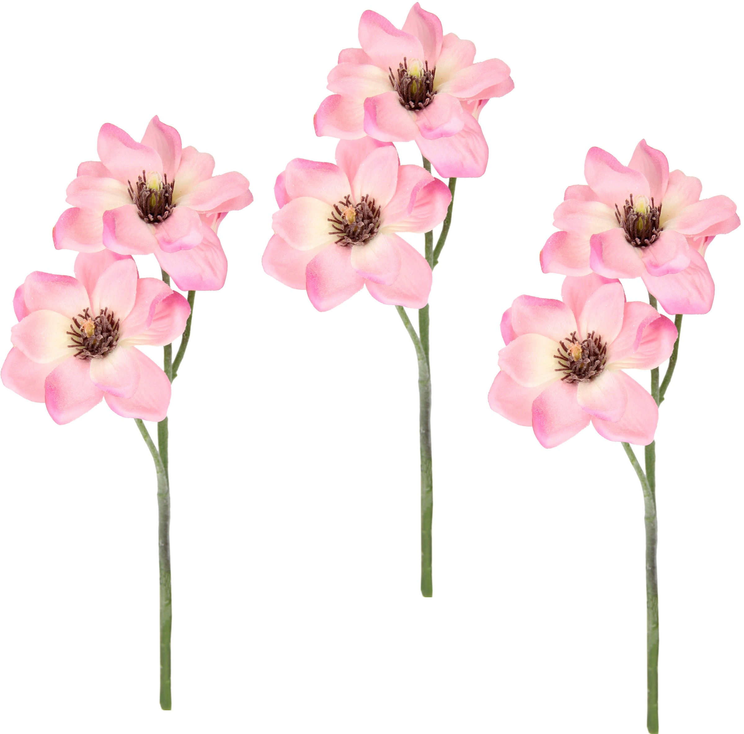 jetzt Künstlicher Set Magnolienzweig, I.GE.A. 3er »Magnolie«, Kunstblume kaufen