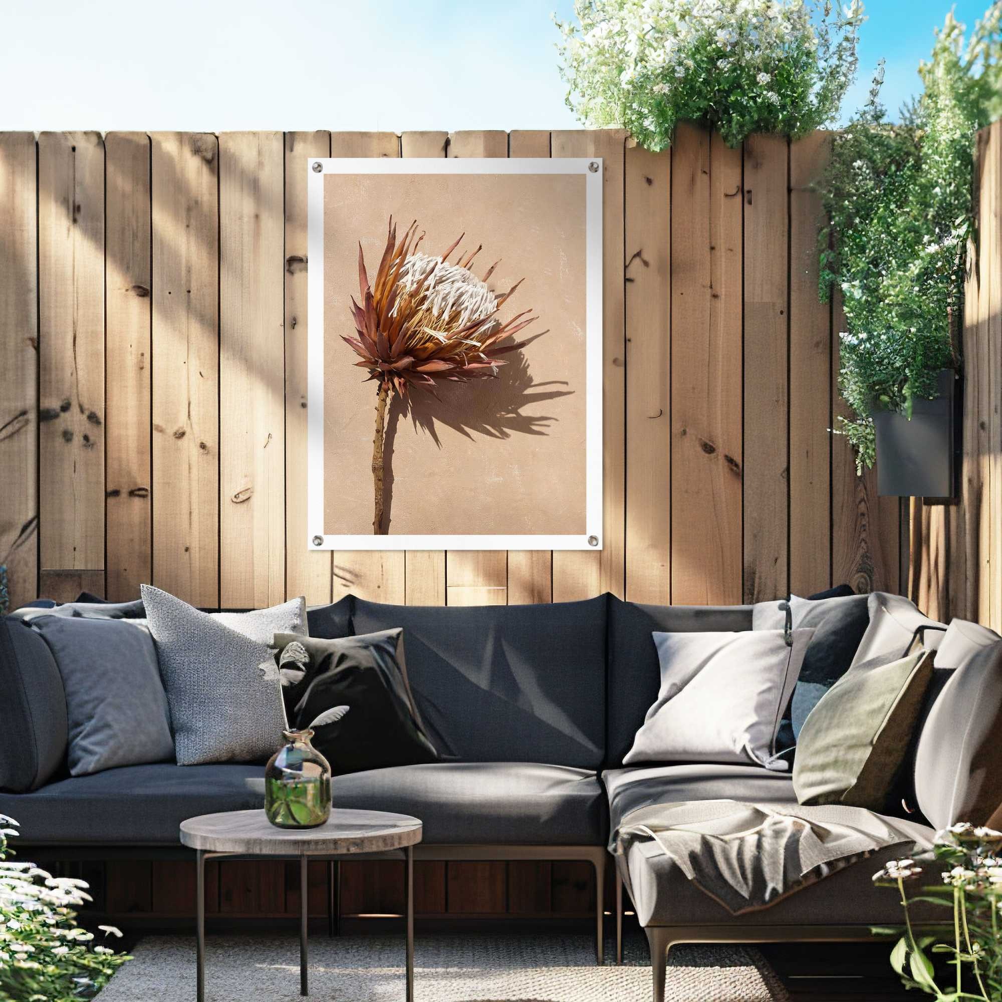 Reinders! Poster »Schattenblume« Garten - Trockenblumen - Exotisch - Braun - Leinwand - Blumen