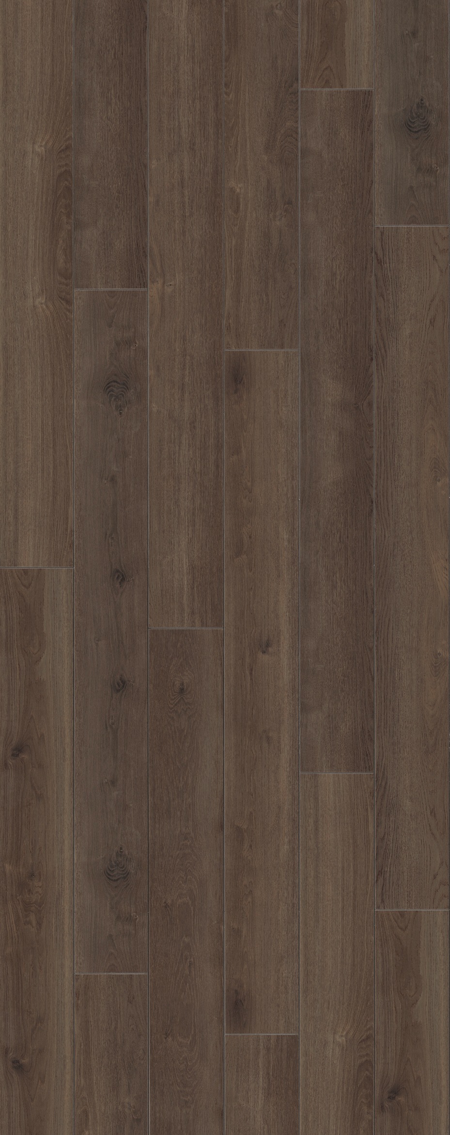 Image of PARADOR Laminat »Trendtime 6 - Eiche Castell geräuchert«, (Packung), spezielle Trägerplatte, 2200 x 243 mm, Stärke: 9 mm bei Ackermann Versand Schweiz