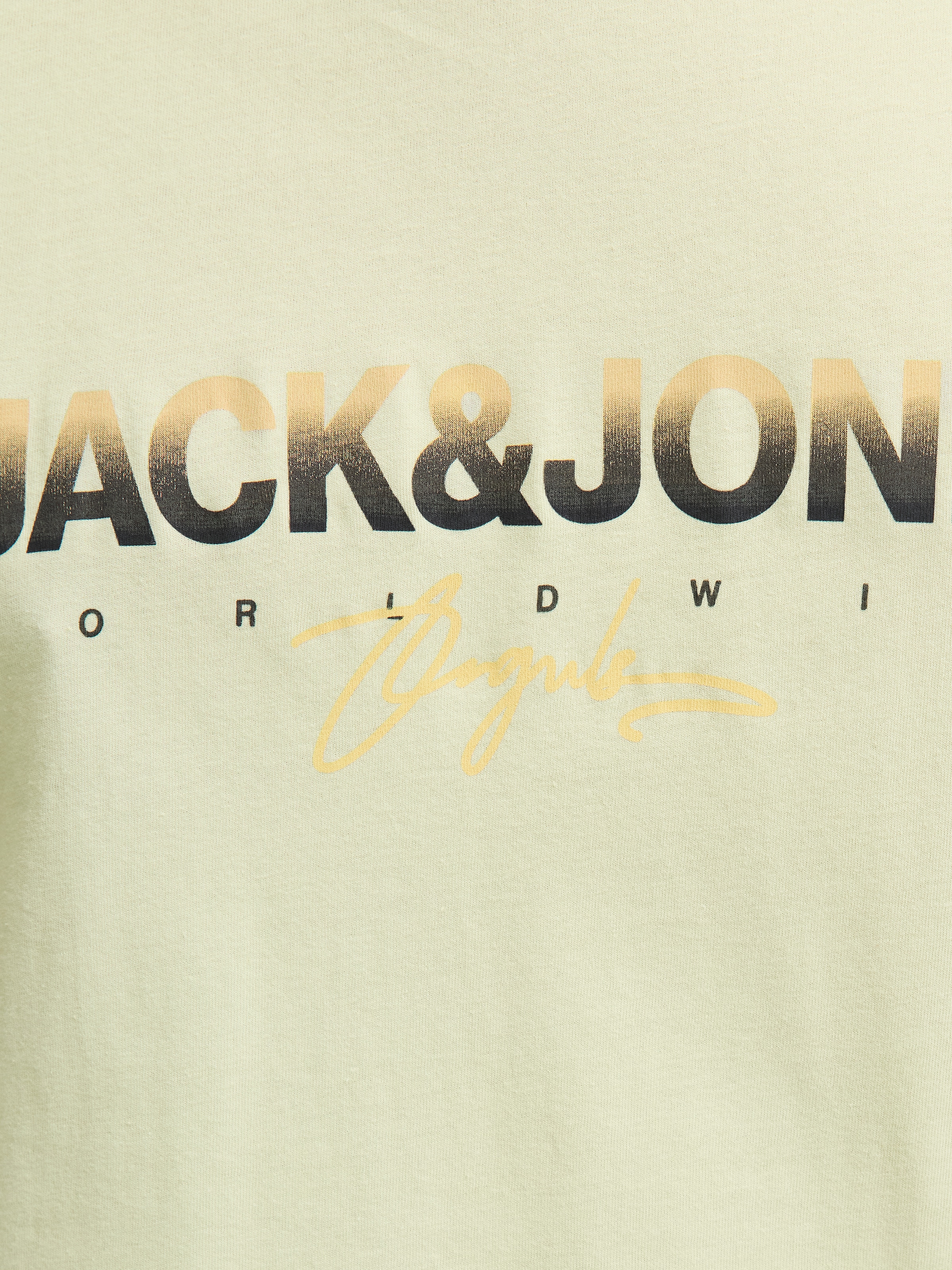 Jack & Jones PlusSize Print-Shirt »JORCANGGU TEE SS CREW NECK FST PLS«, mit Logo Print