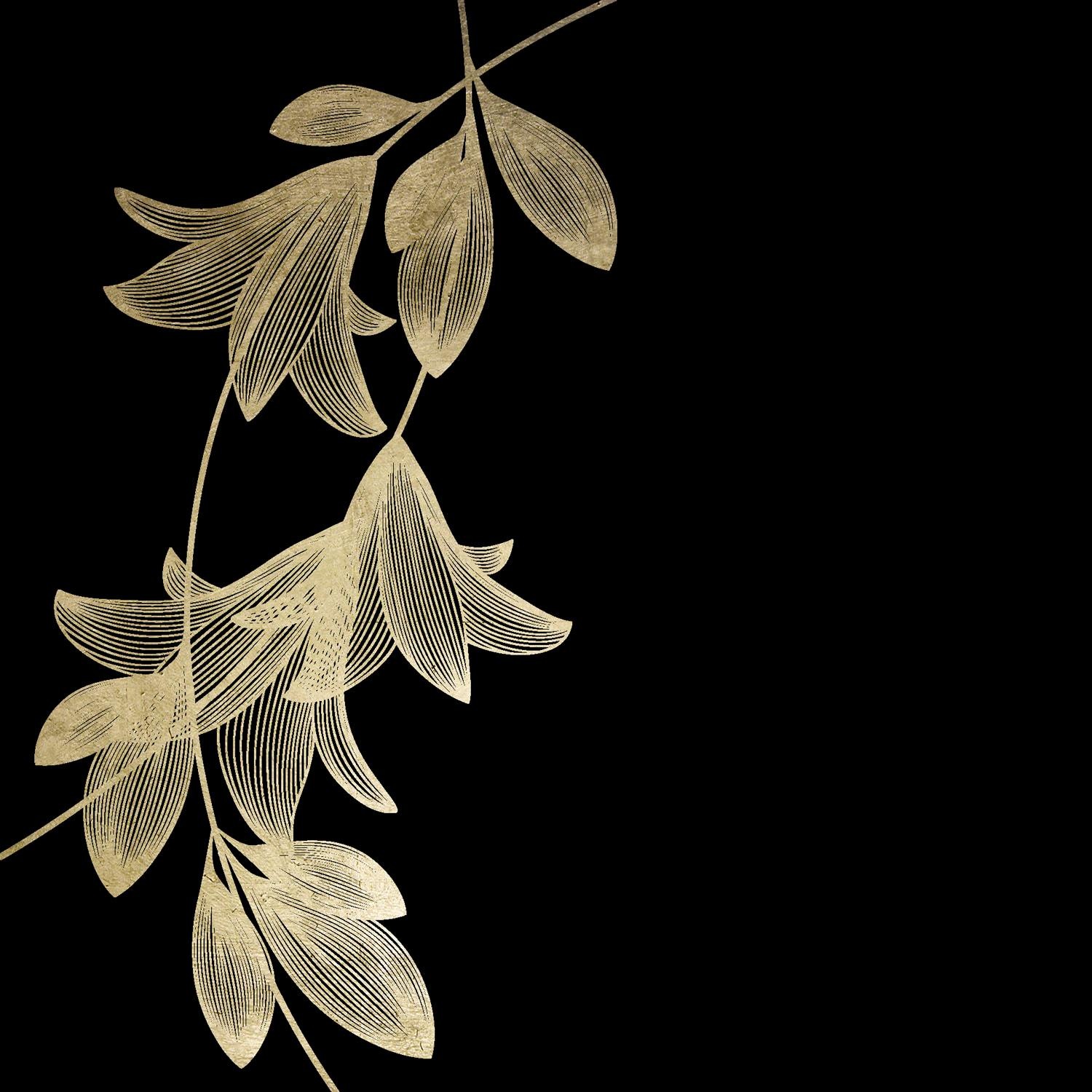 Image of Leonique Acrylglasbild »Zweig« bei Ackermann Versand Schweiz