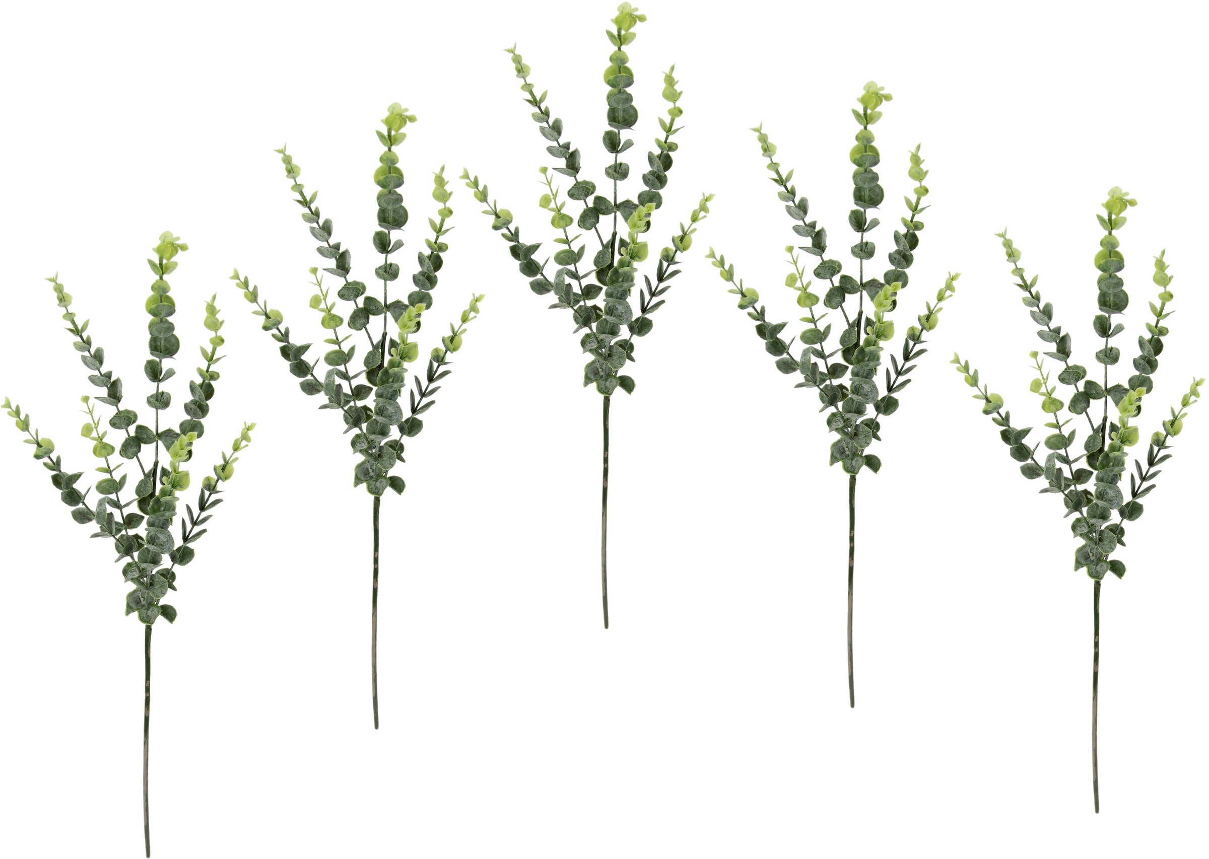 Image of I.GE.A. Kunstzweig »Eukalyptus«, (5 St.), 5er Set, künstlicher Blattzweig bei Ackermann Versand Schweiz