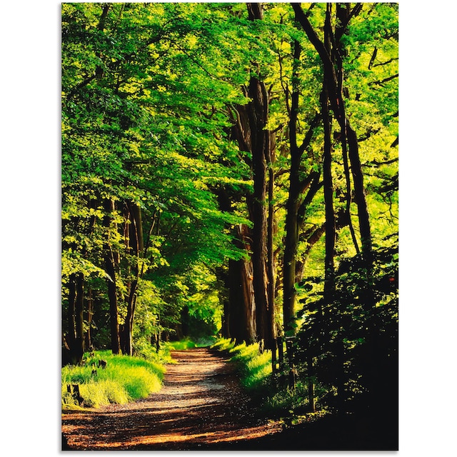 Artland Wandbild »Weg im Wald«, Wald, (1 St.), als Alubild, Leinwandbild,  Wandaufkleber oder Poster in versch. Grössen günstig kaufen