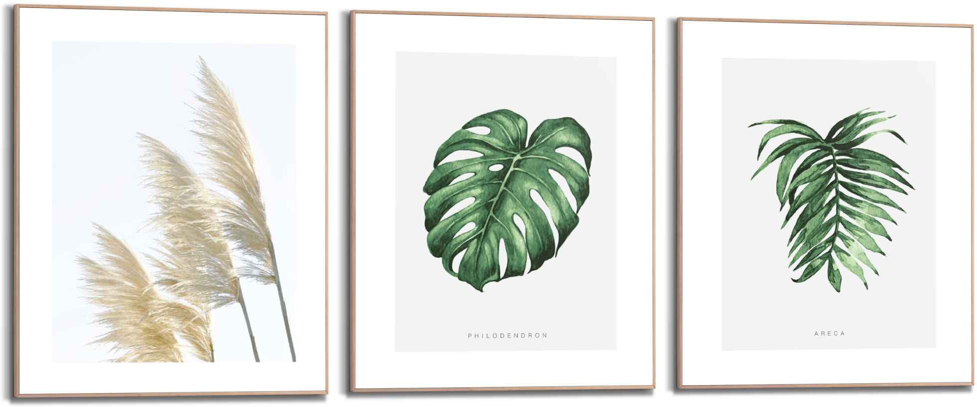 Image of Reinders! Wandbild »Wandbilder Set Botanische Motive Natur - Blatt - Gras - Pflanzen«, Natur, (3 St.) bei Ackermann Versand Schweiz