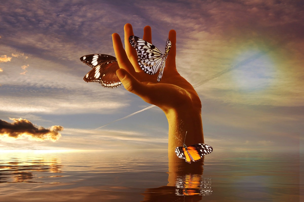 Papermoon Papier peint photo »Schmetterlinge zähmen«