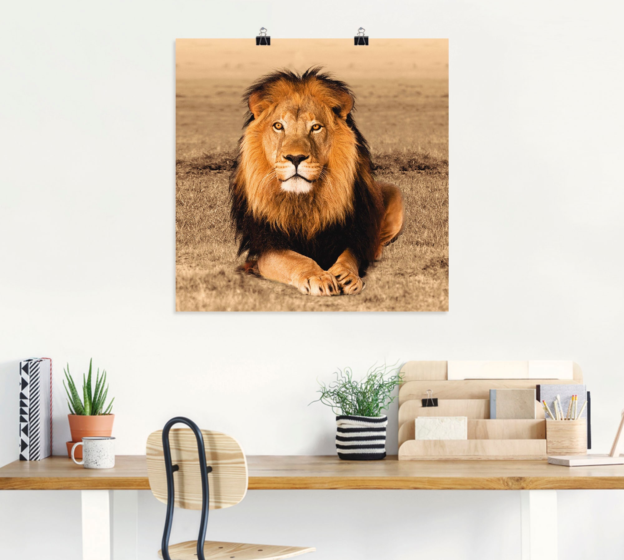 Artland Wandbild »Löwe«, kaufen versch. Grössen oder als Leinwandbild, (1 in Alubild, jetzt Wildtiere, Wandaufkleber Poster St.)