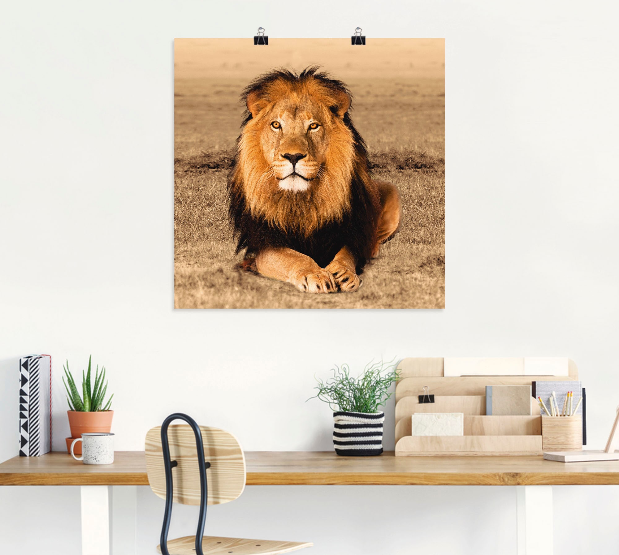 Artland Wandbild »Löwe«, Wildtiere, (1 St.), als Alubild, Leinwandbild,  Wandaufkleber oder Poster in versch. Grössen jetzt kaufen