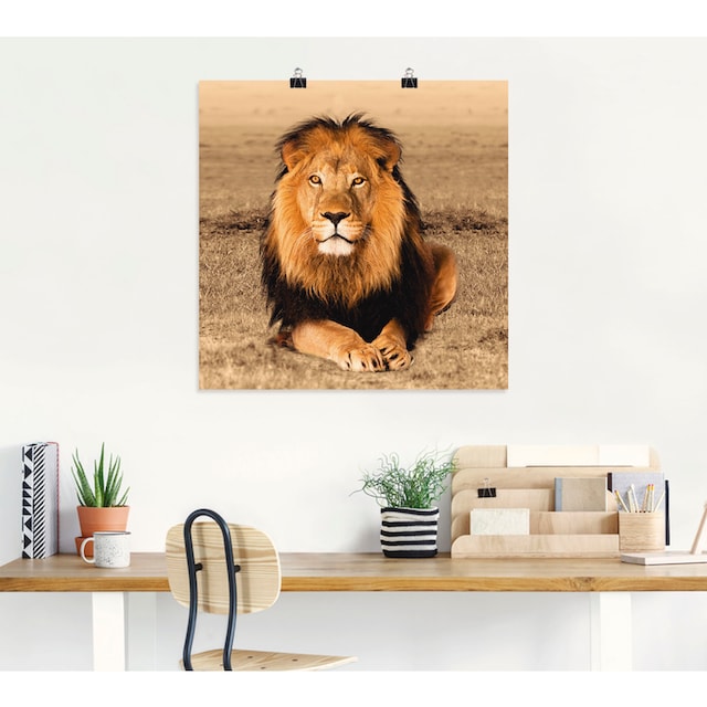 Artland Wandbild »Löwe«, Wildtiere, (1 St.), als Alubild, Leinwandbild,  Wandaufkleber oder Poster in versch. Grössen jetzt kaufen