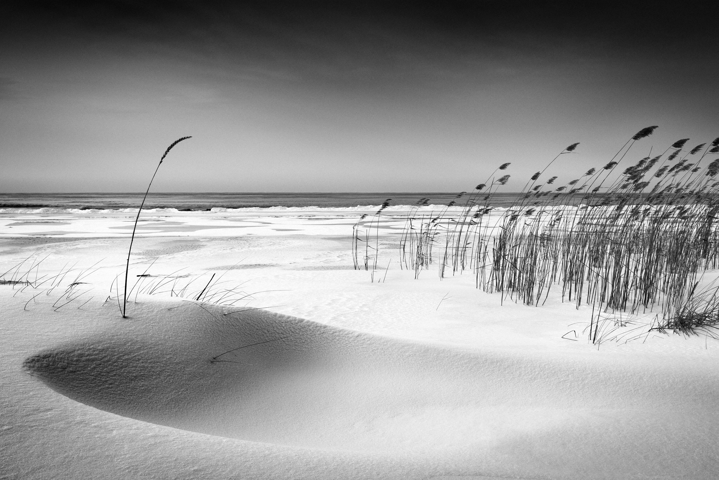Image of Papermoon Fototapete »Photo-Art REINIS CÄªRULIS, ORCHESTER«, Vliestapete, hochwertiger Digitaldruck, inklusive Kleister bei Ackermann Versand Schweiz