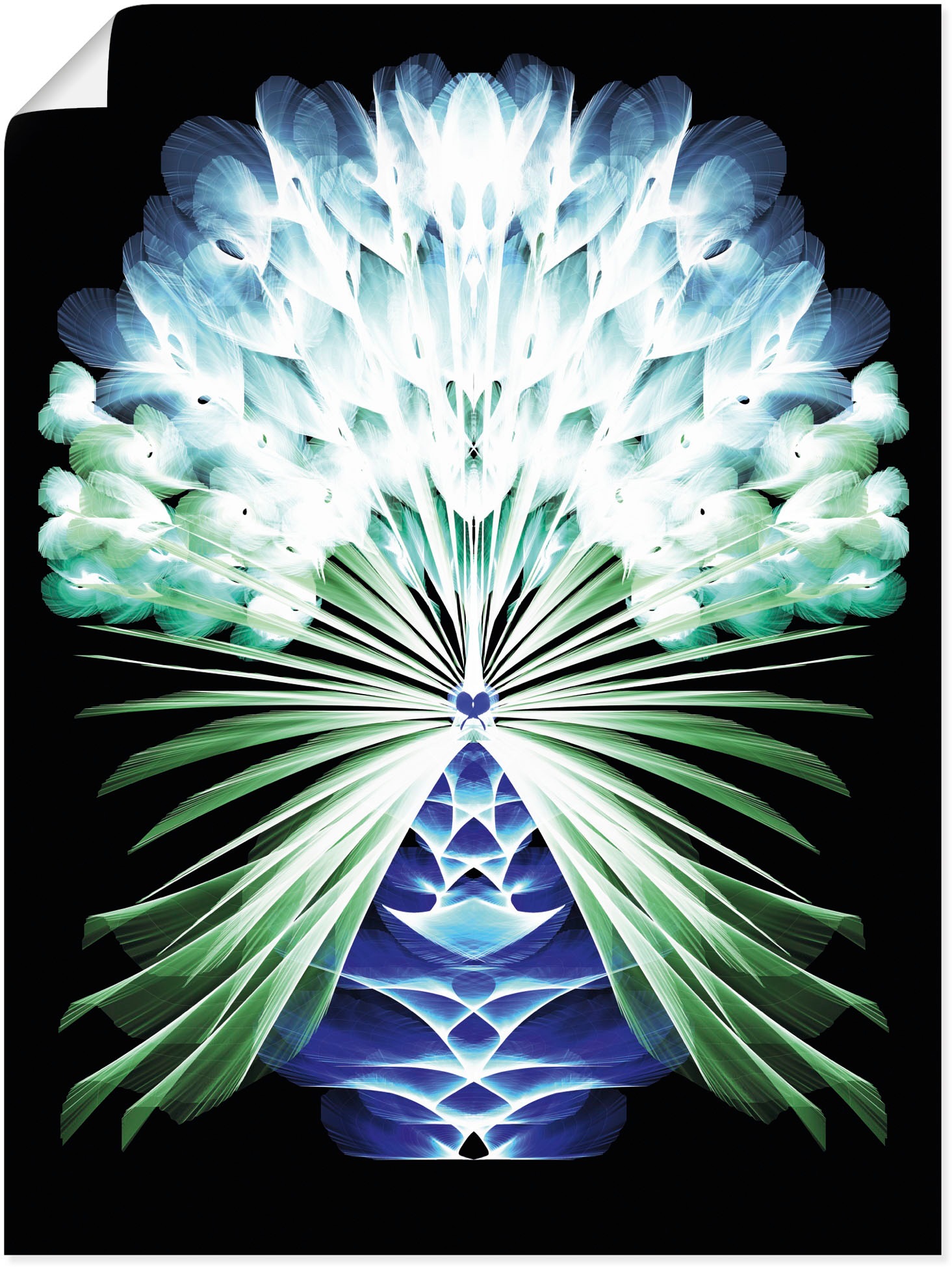 Image of Artland Wandbild »Federblüten Neontürkis«, klassische Fantasie, (1 St.), in vielen Grössen & Produktarten - Alubild / Outdoorbild für den Aussenbereich, Leinwandbild, Poster, Wandaufkleber / Wandtattoo auch für Badezimmer geeignet bei Ackermann Versand Sc