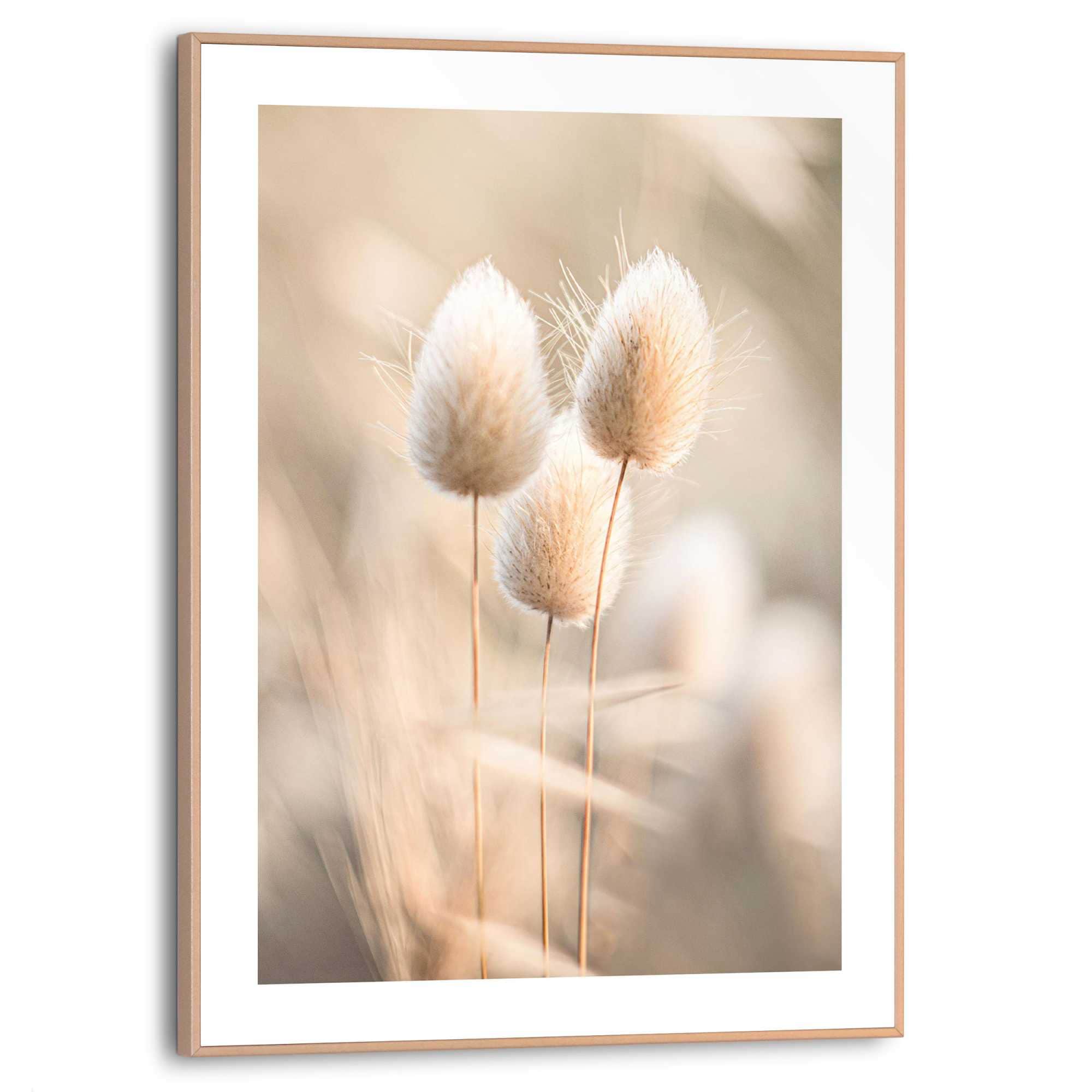 Image of Reinders Poster "Plumes" Wohnzimmer - Grasfedern - Beige - MDF - Blumen und Pflanzen - 30x40 cm