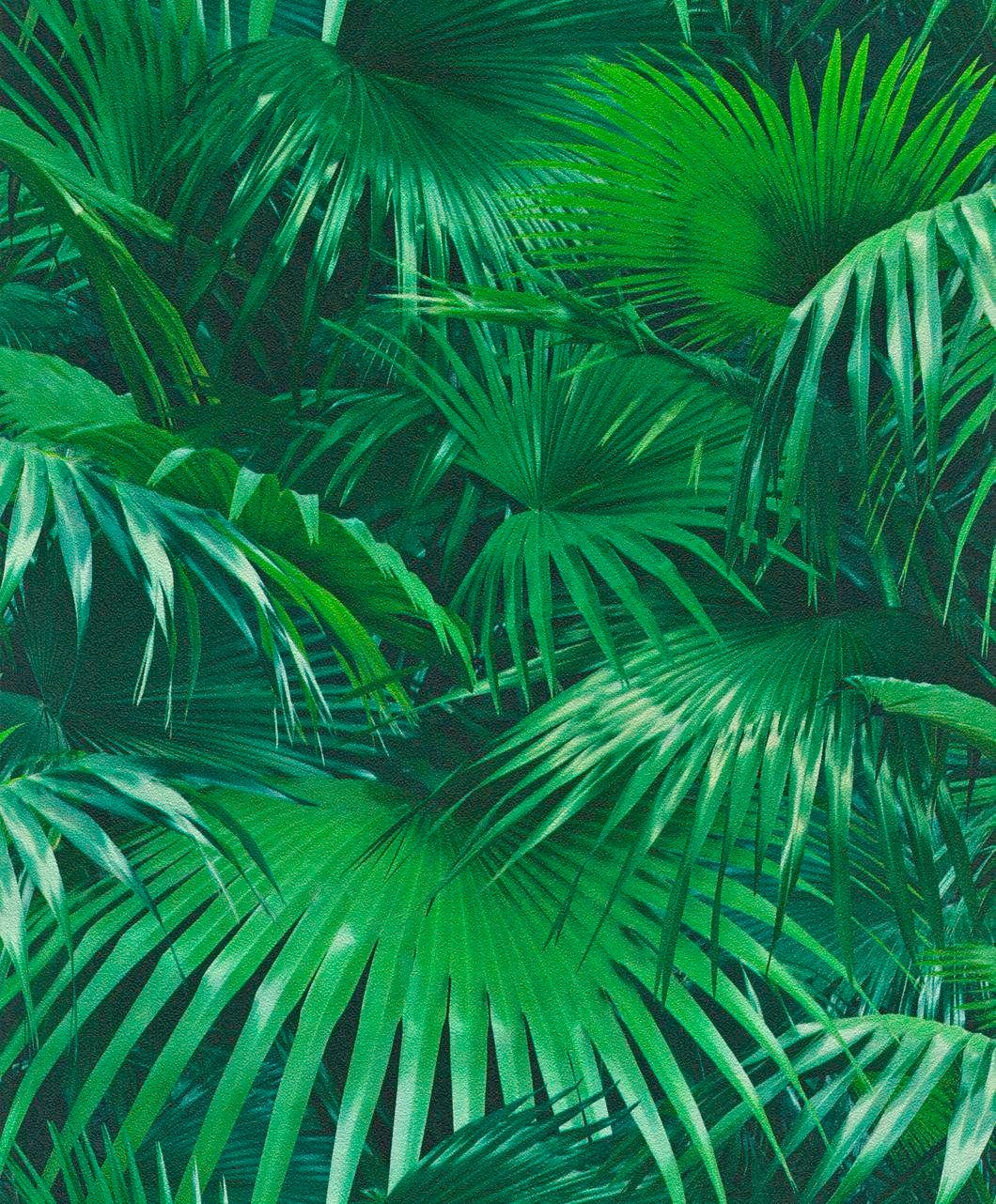 Image of Rasch Vinyltapete »Selection«, gemustert bei Ackermann Versand Schweiz