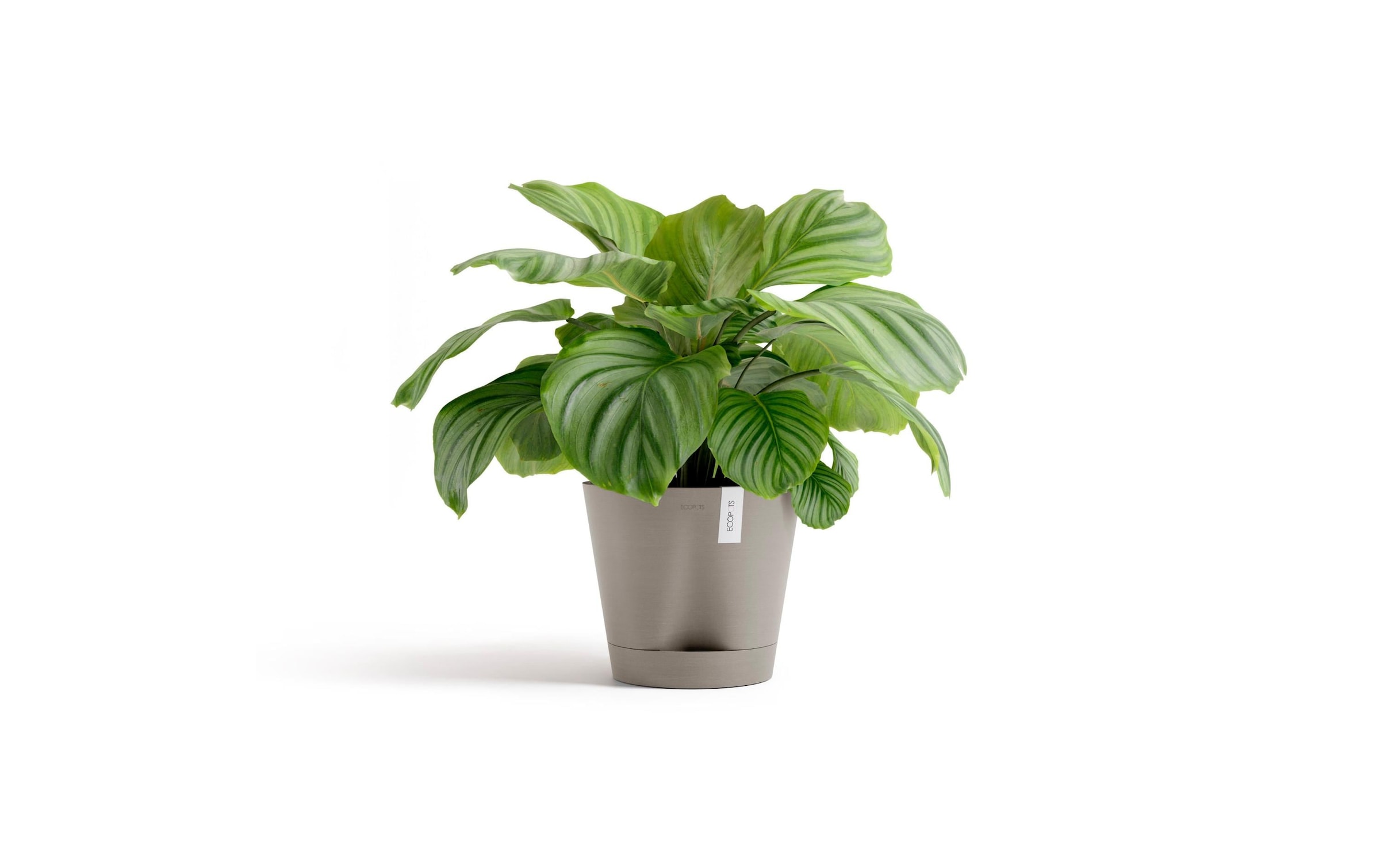 ECOPOTS Blumentopf »Venice 2 Ø 30 cm«