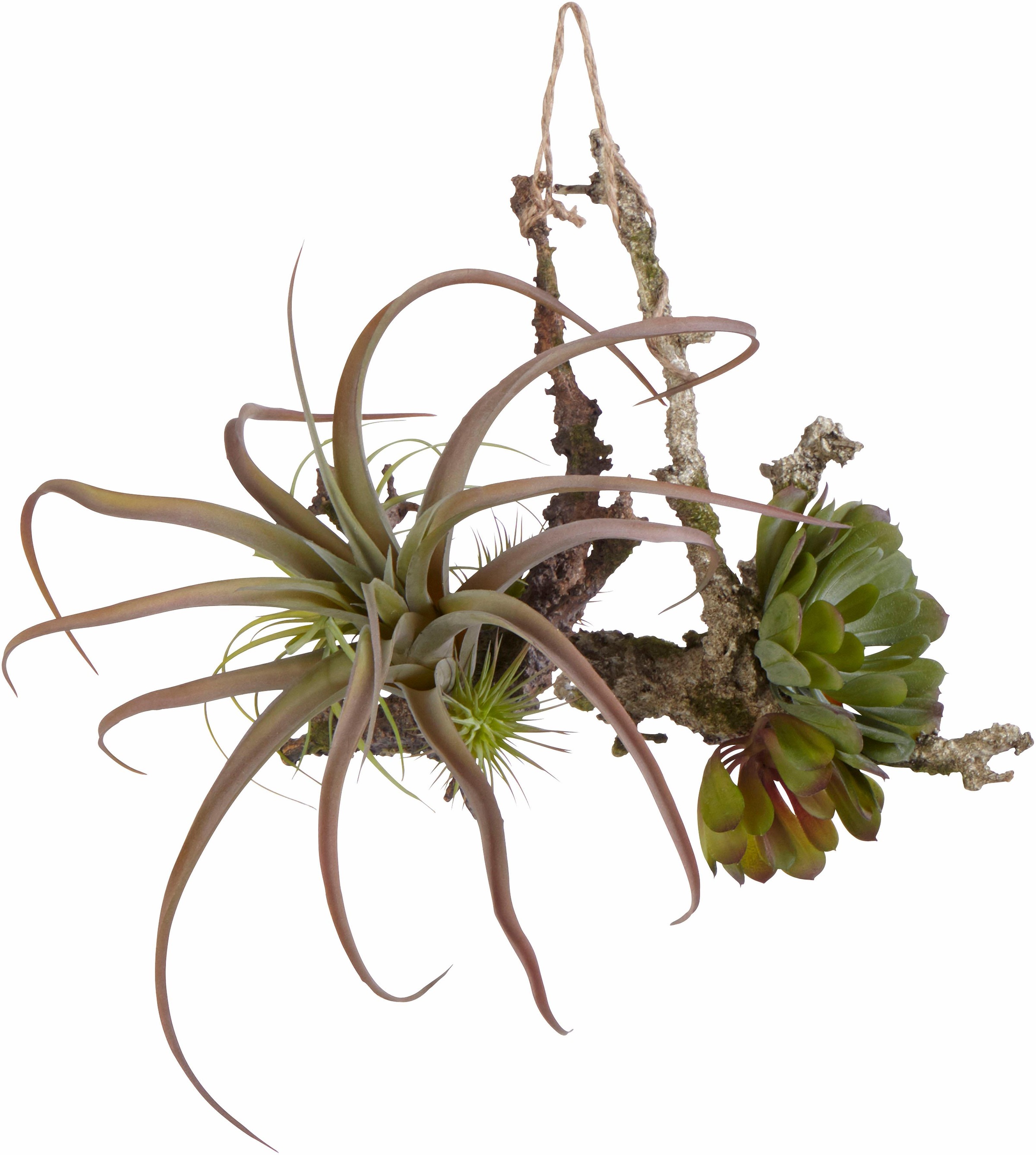 Image of Creativ green Kunstranke, (Set, 2 St.) bei Ackermann Versand Schweiz