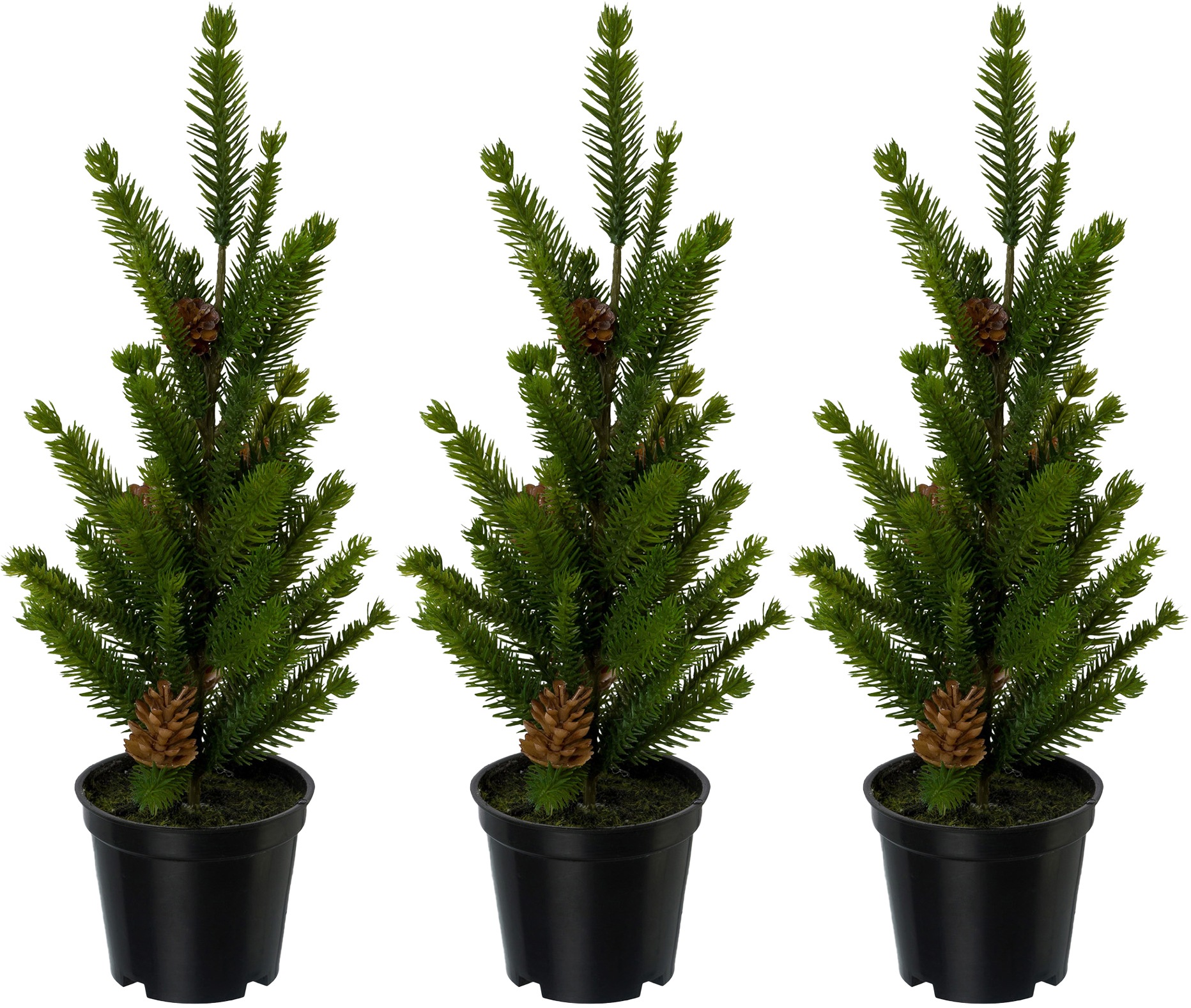 Image of Creativ deco Künstlicher Weihnachtsbaum, Fichtenbäumchen im Topf, 3er Set bei Ackermann Versand Schweiz