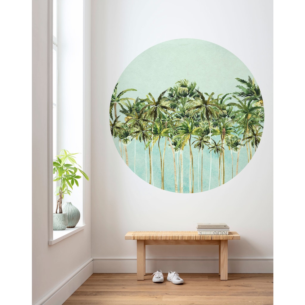 Komar Fototapete »Coconut Trees«
